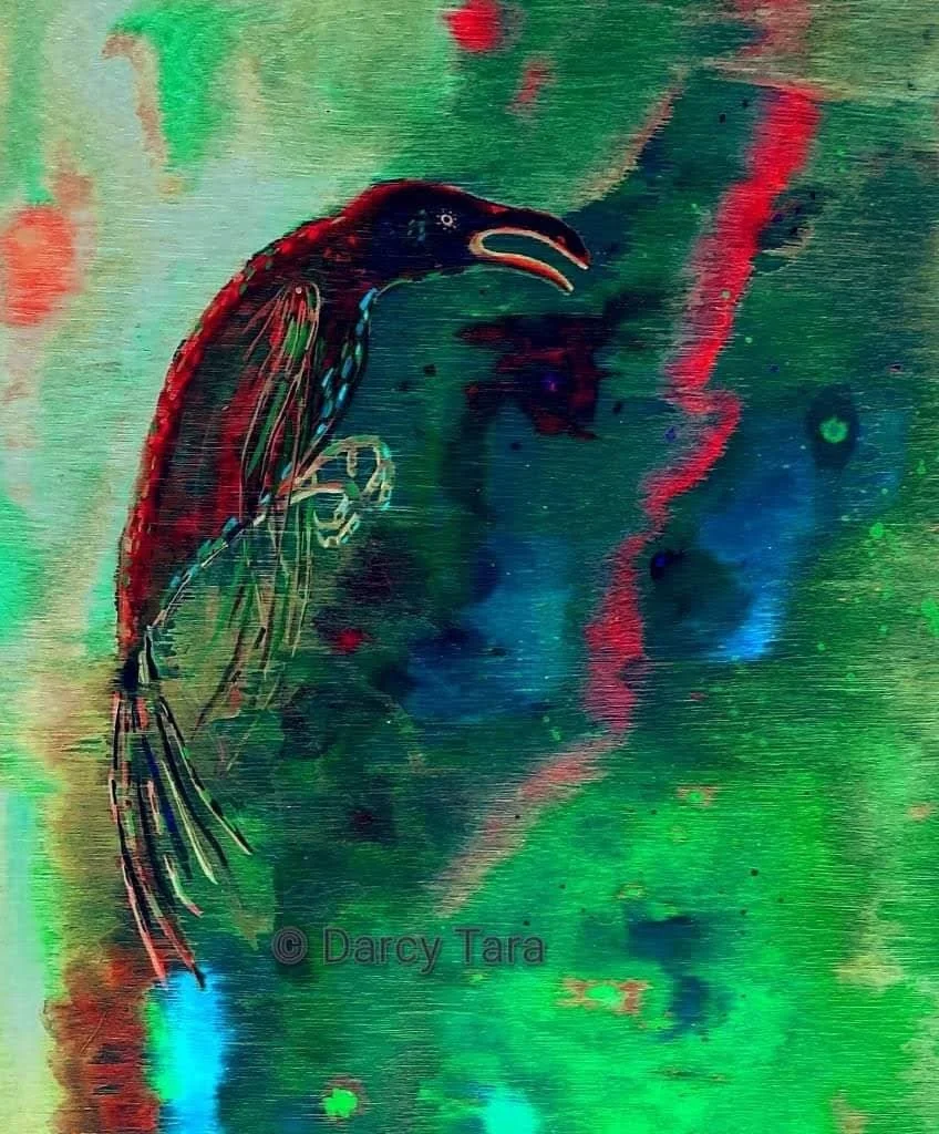 DarcyCrow1.jpeg