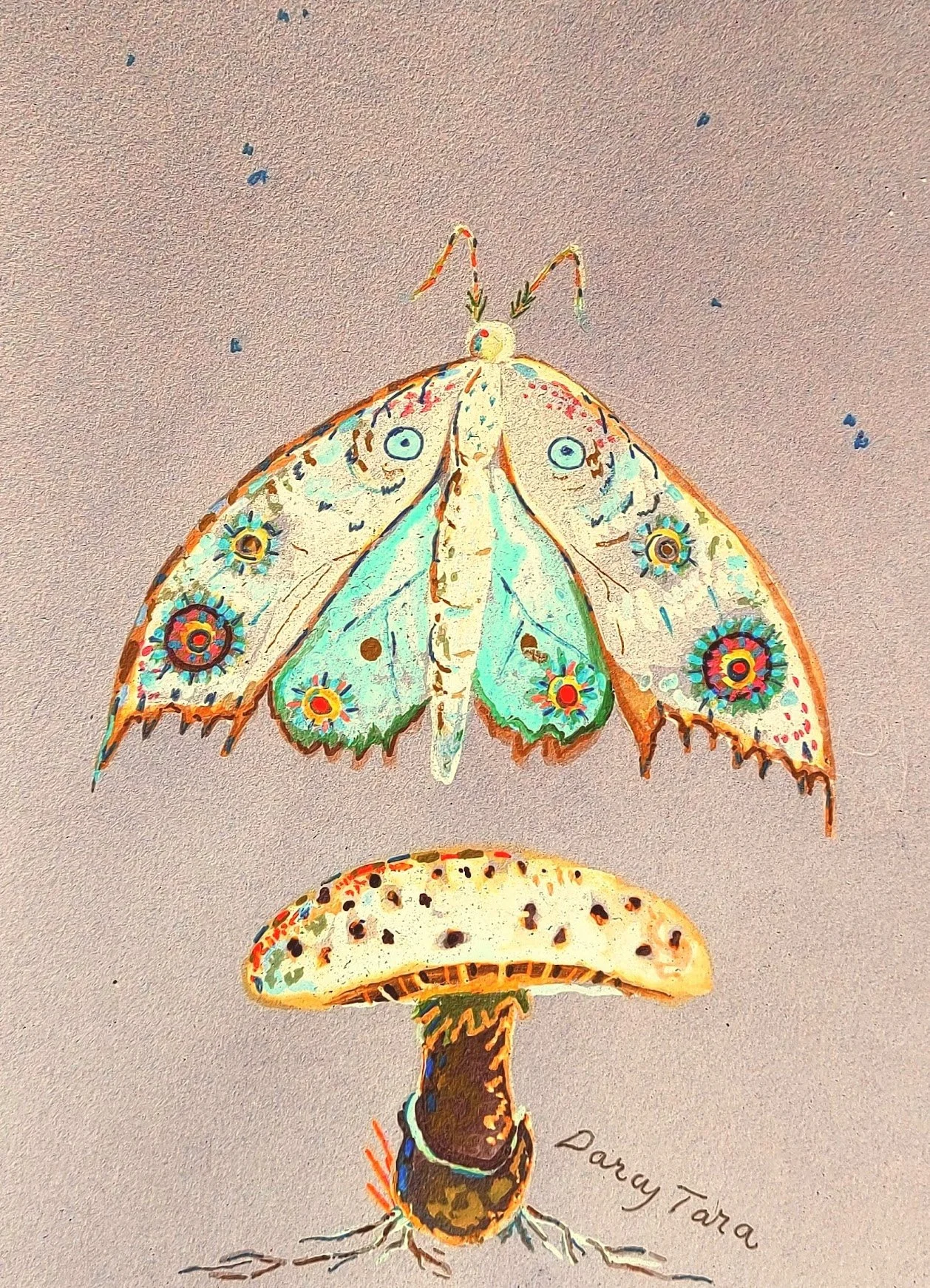 DarcyTaraMoths1.jpeg