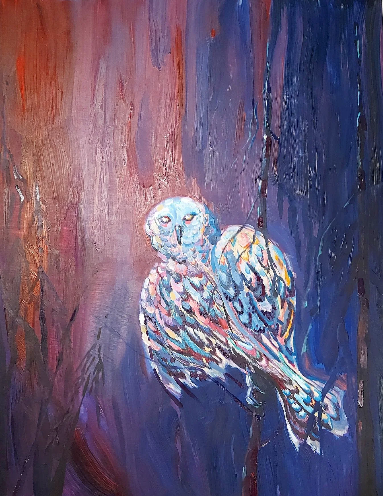 DarcyOwl.jpeg