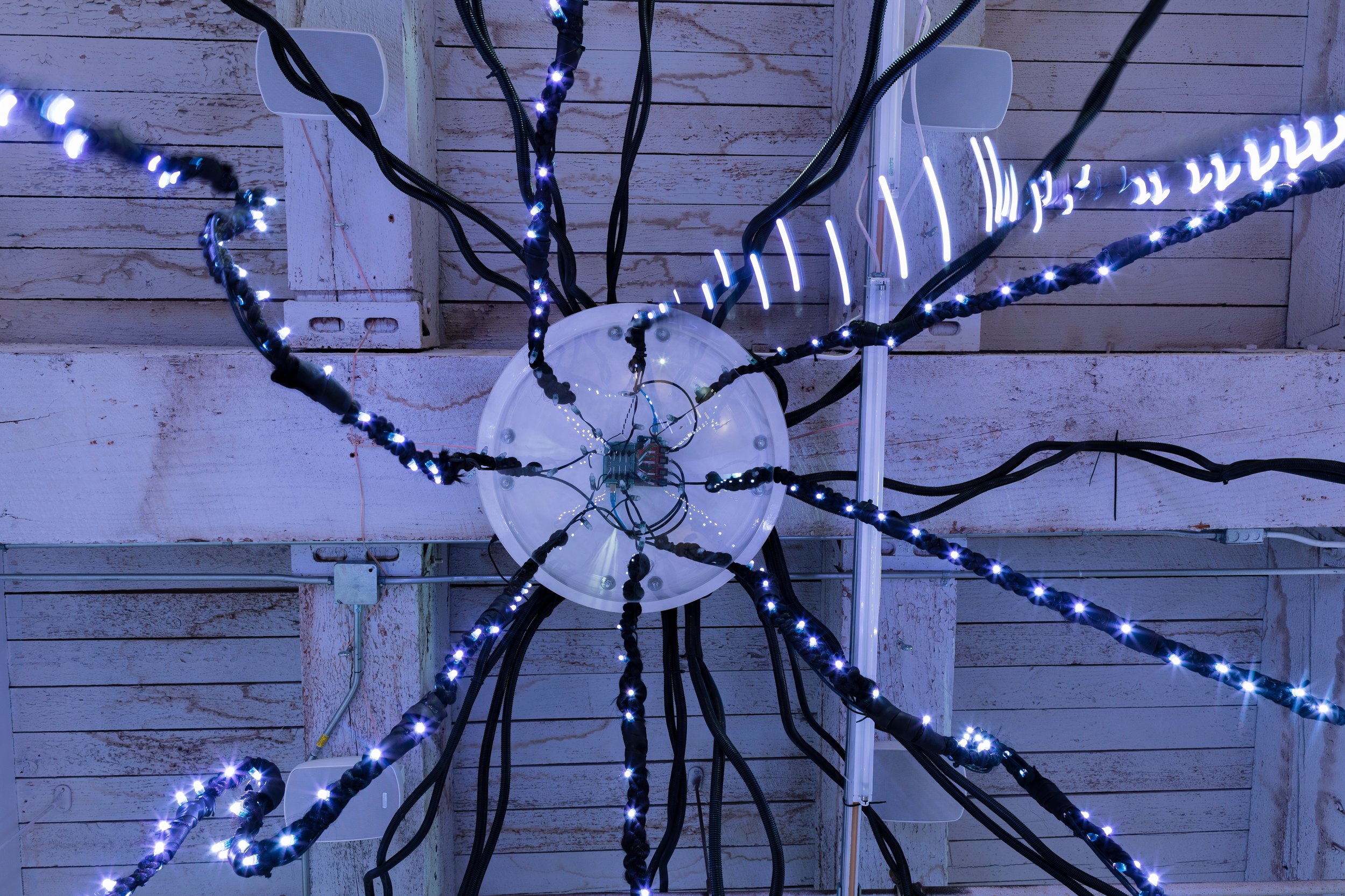 A white circuit hub on a white-washed wood background with illuminated black cords trailing out from the hub like a spider web.