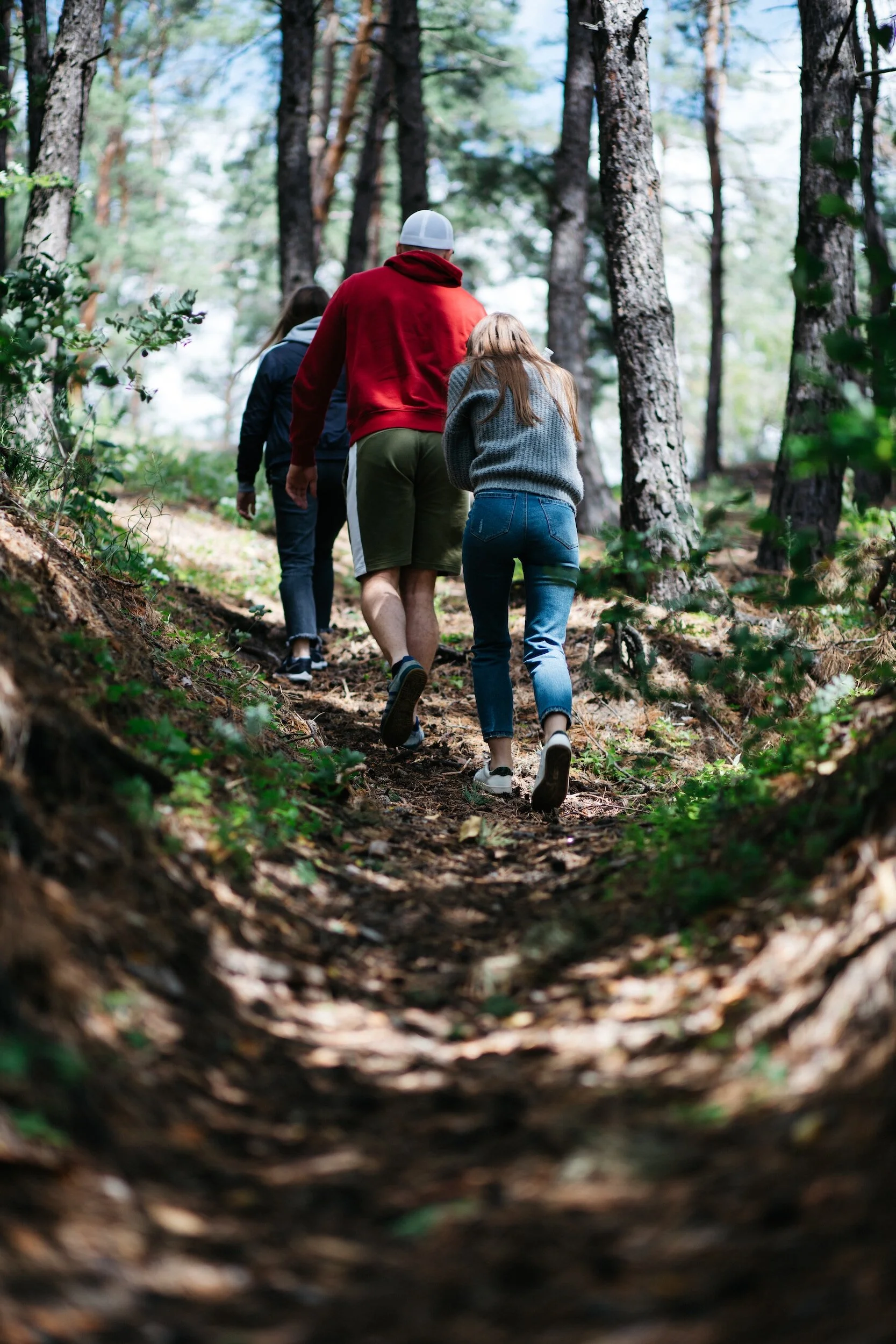 Four people hiking along a forest trail surrounded by tall pine trees and green foliage.
