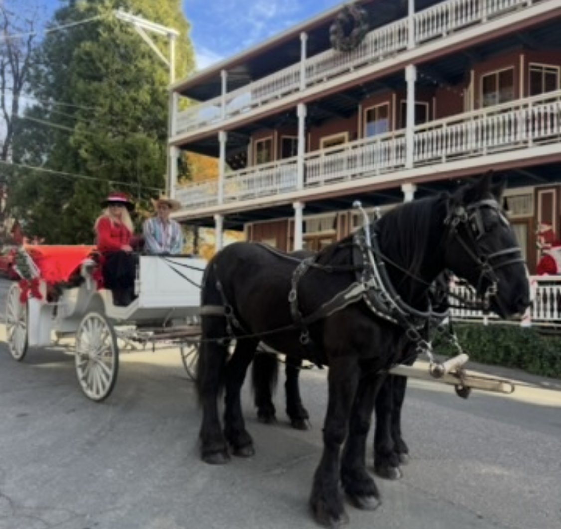 Christmas Market at Dutch Flat Hotel