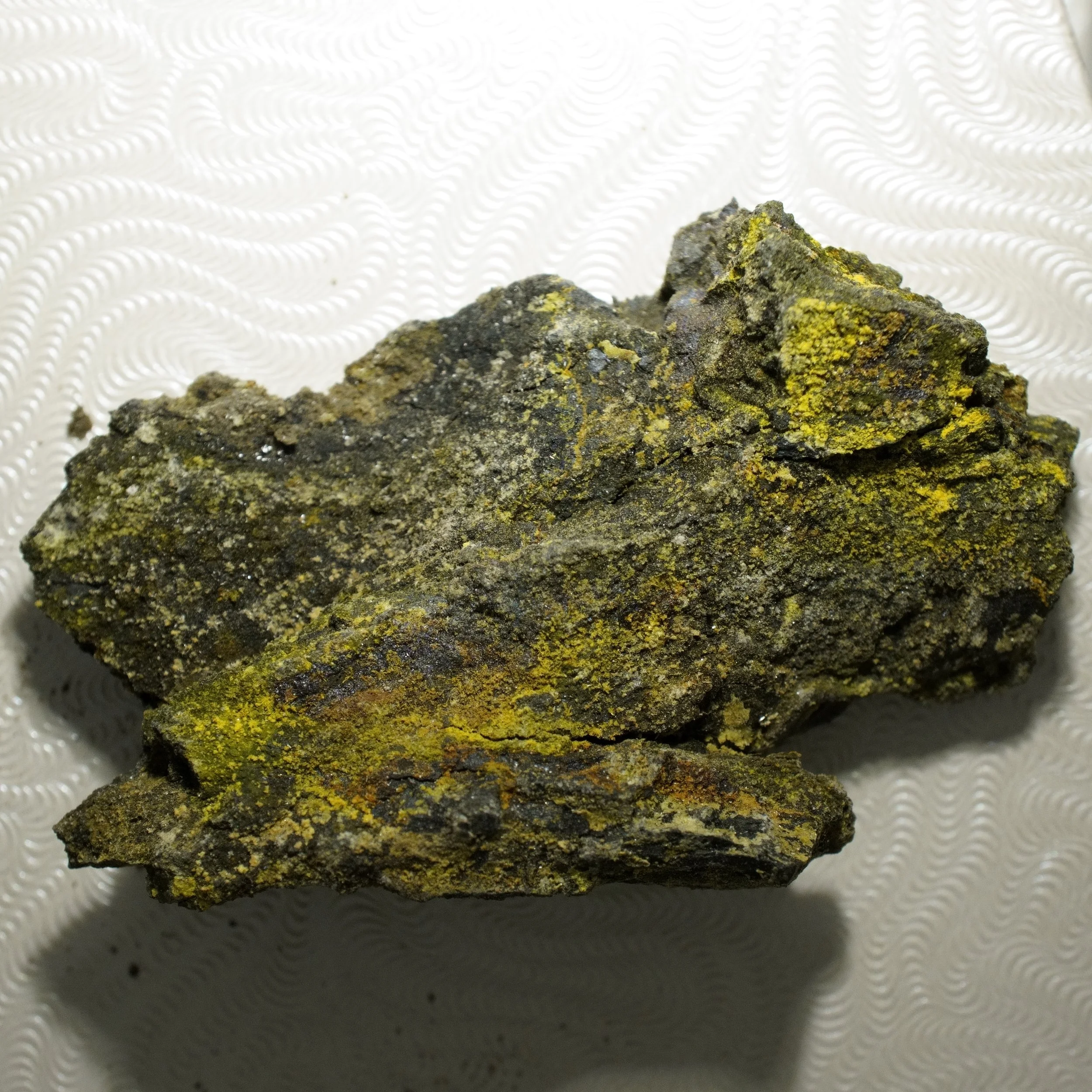 Small Gateway Colorado uranium-vanadium ore specimen with yellow tyuyamunite carnotite crystals and 50,000 CPM activity.