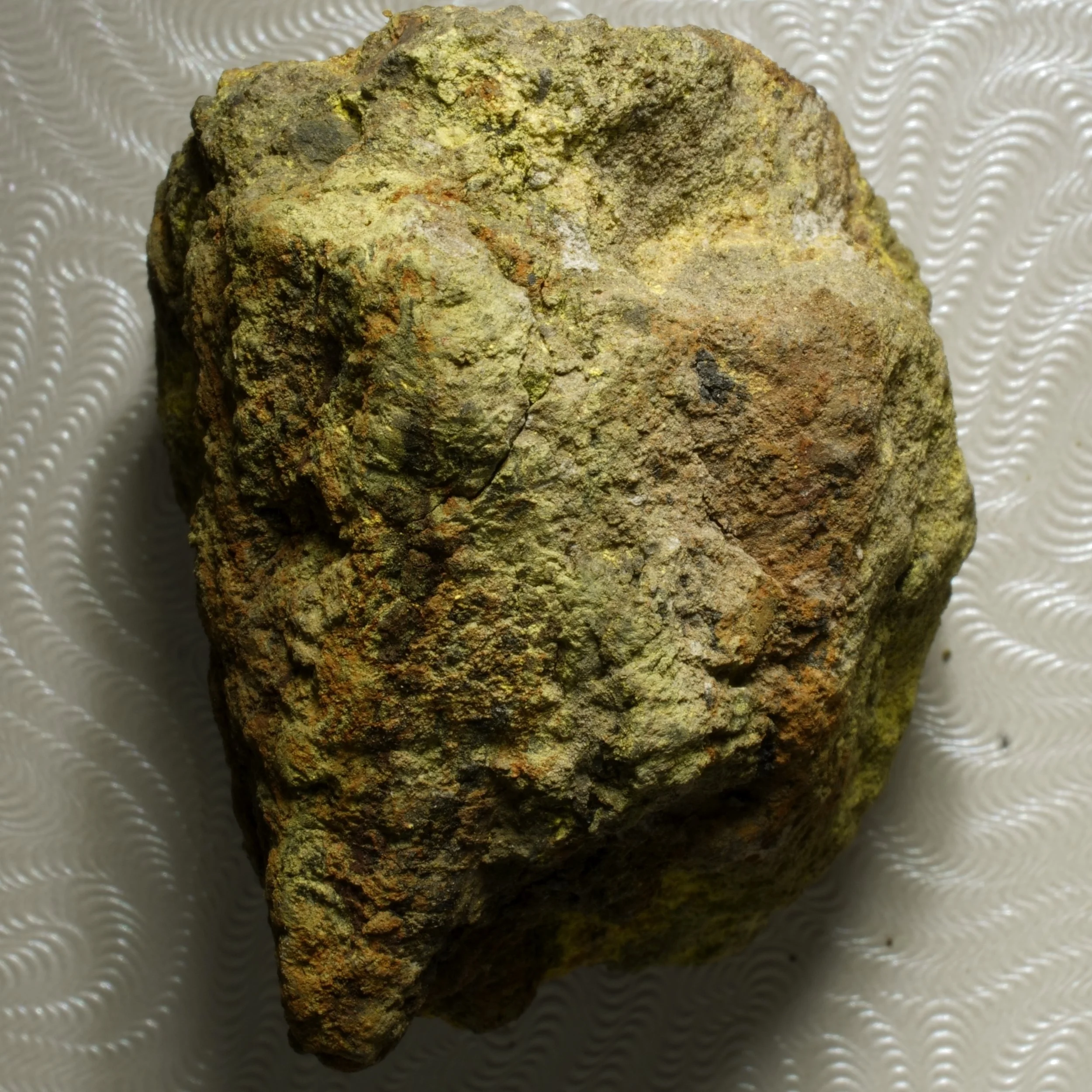 Gateway Colorado uranium-vanadium sandstone ore specimen with yellow carnotite tyuyamunite mineralization measuring 70,000 CPM and 3.5 mR/hr.