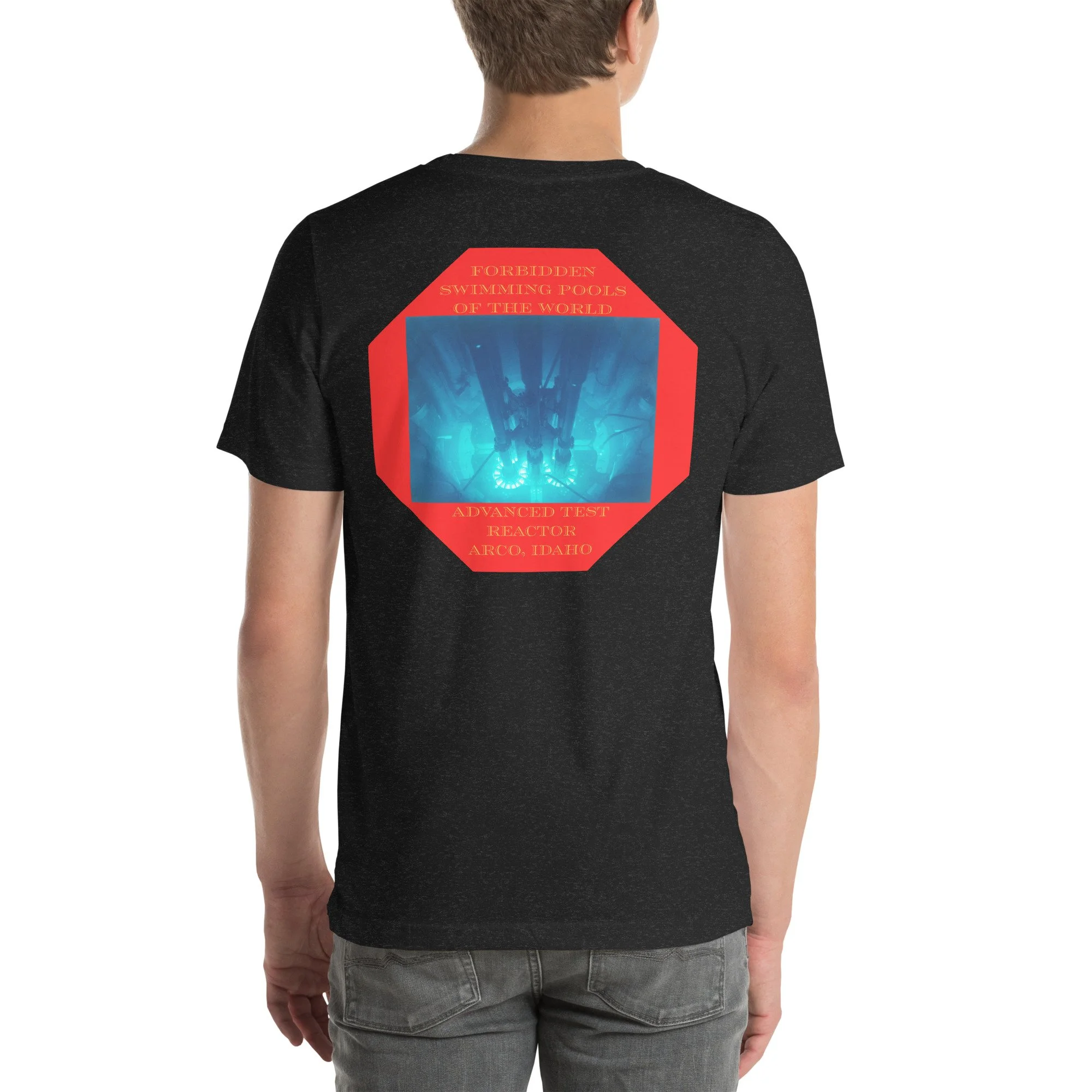 Black nuclear t-shirt with Forbidden Swimming Pools of the World advanced reactor graphic