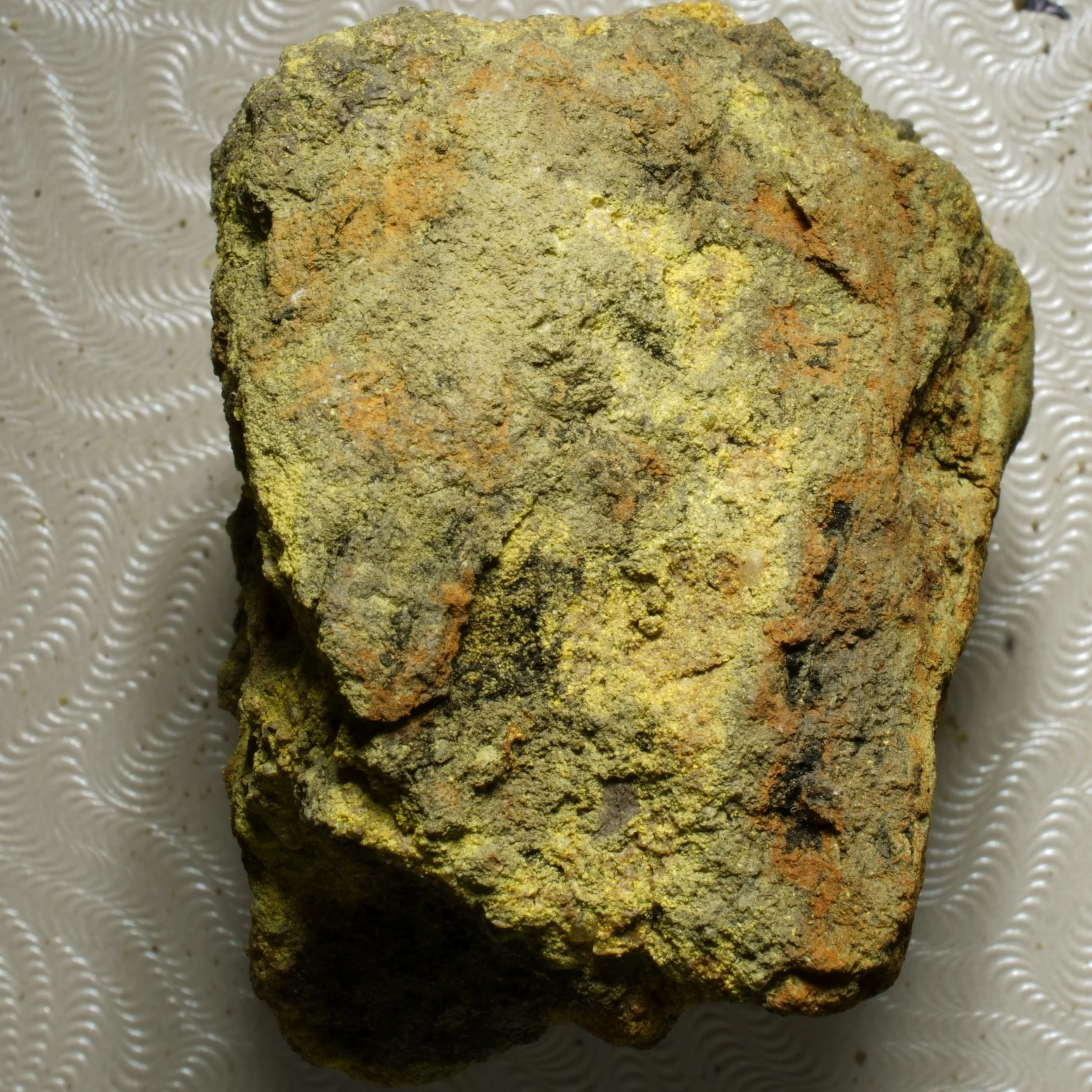 Gateway Colorado uranium-vanadium sandstone ore specimen with yellow carnotite tyuyamunite mineralization measuring 70,000 CPM and 3.5 mR/hr.