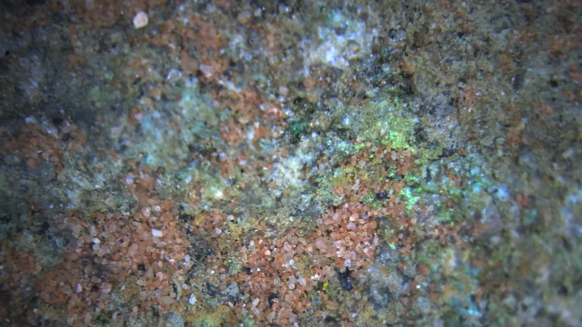 Microscopic detail of uranium ore showing quartz sand grains within uranium bearing sandstone matrix