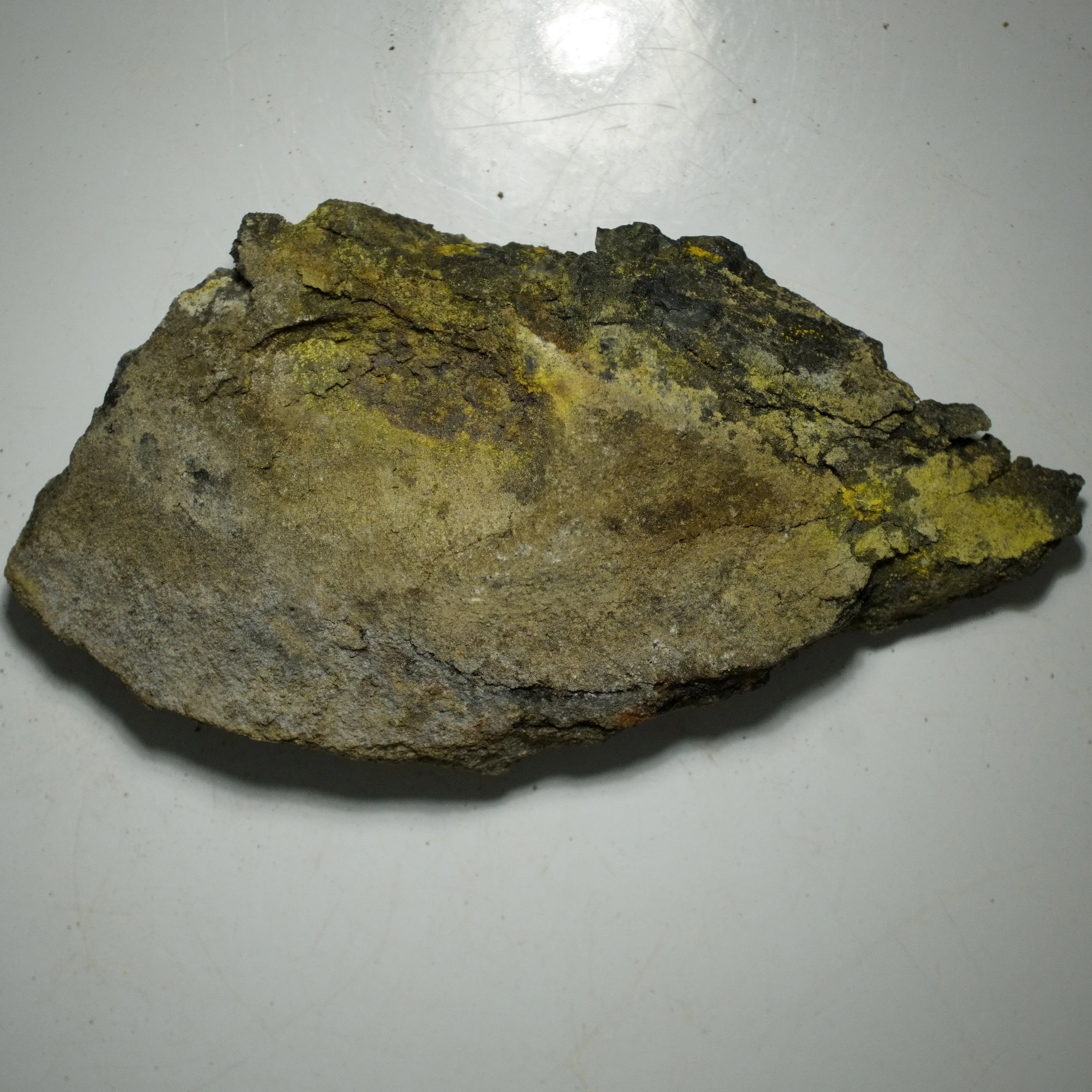 Gateway Colorado uranium-vanadium sandstone specimen with yellow carnotite or tyuyamunite mineralization on dark ore matrix.