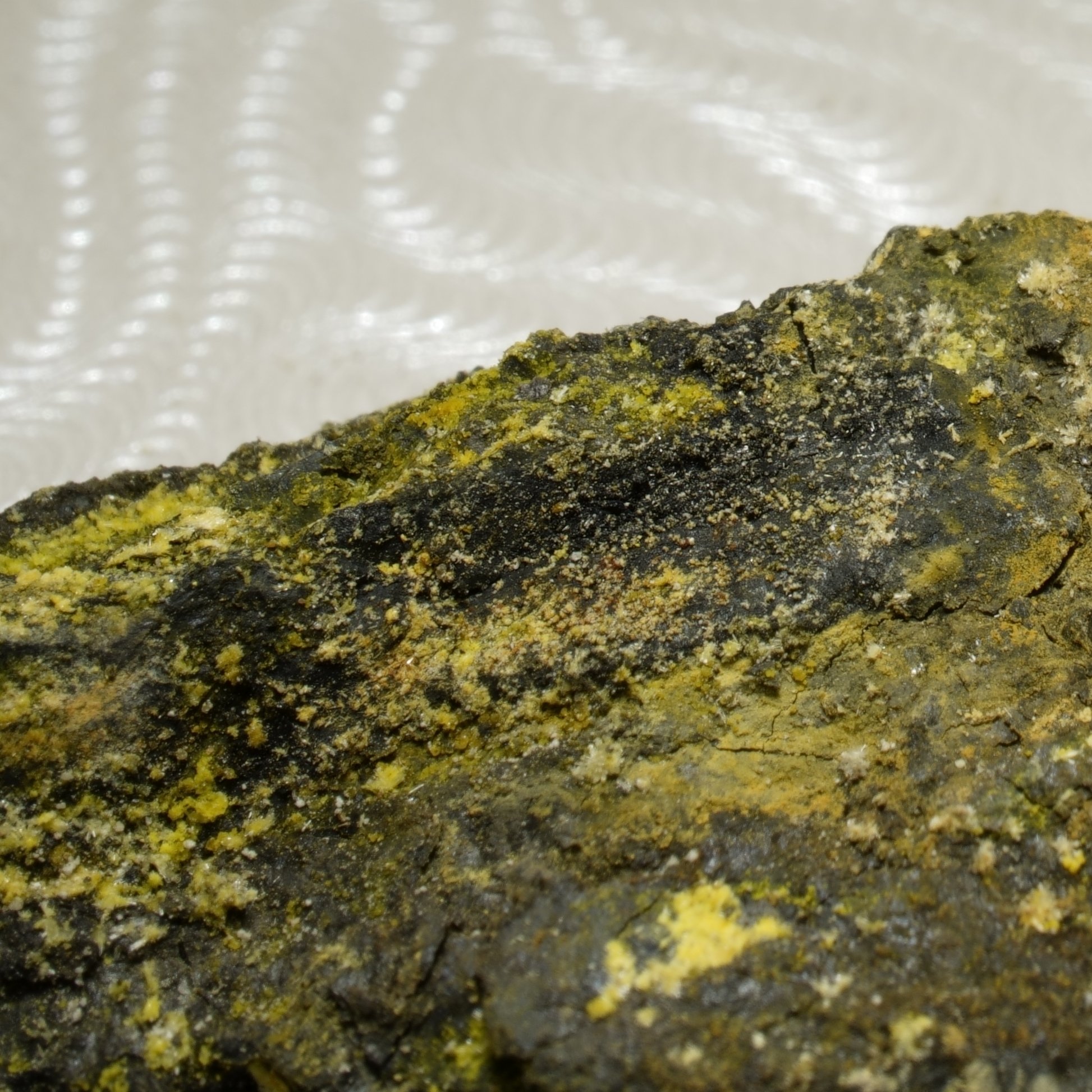 Green River Uranium Ore — High-Grade Secondary Mineralization | 50,000 CPM Micro Specimen