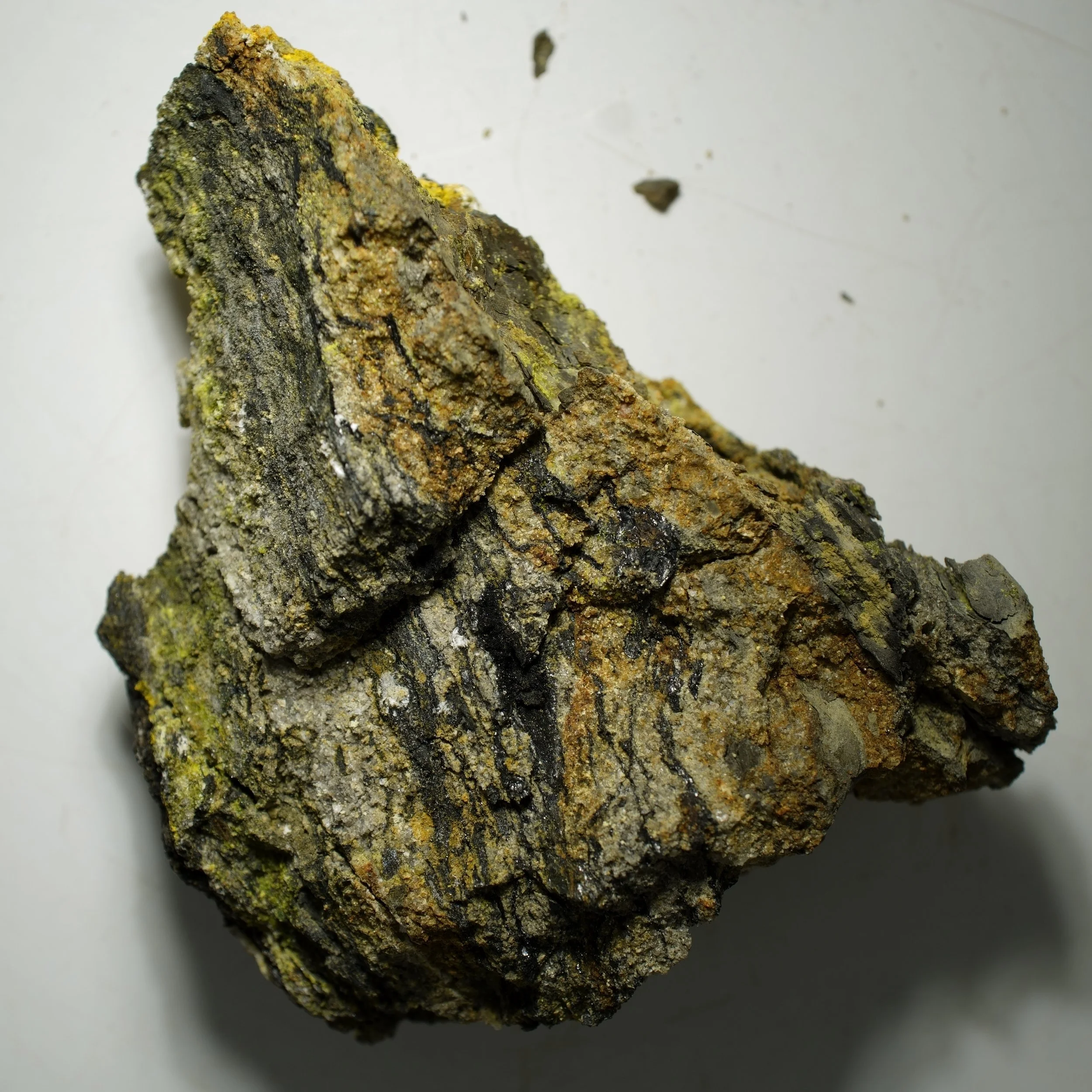 High-grade carnotite uranium specimen with bright yellow mineralization on matrix, strong radioactive output compact sample