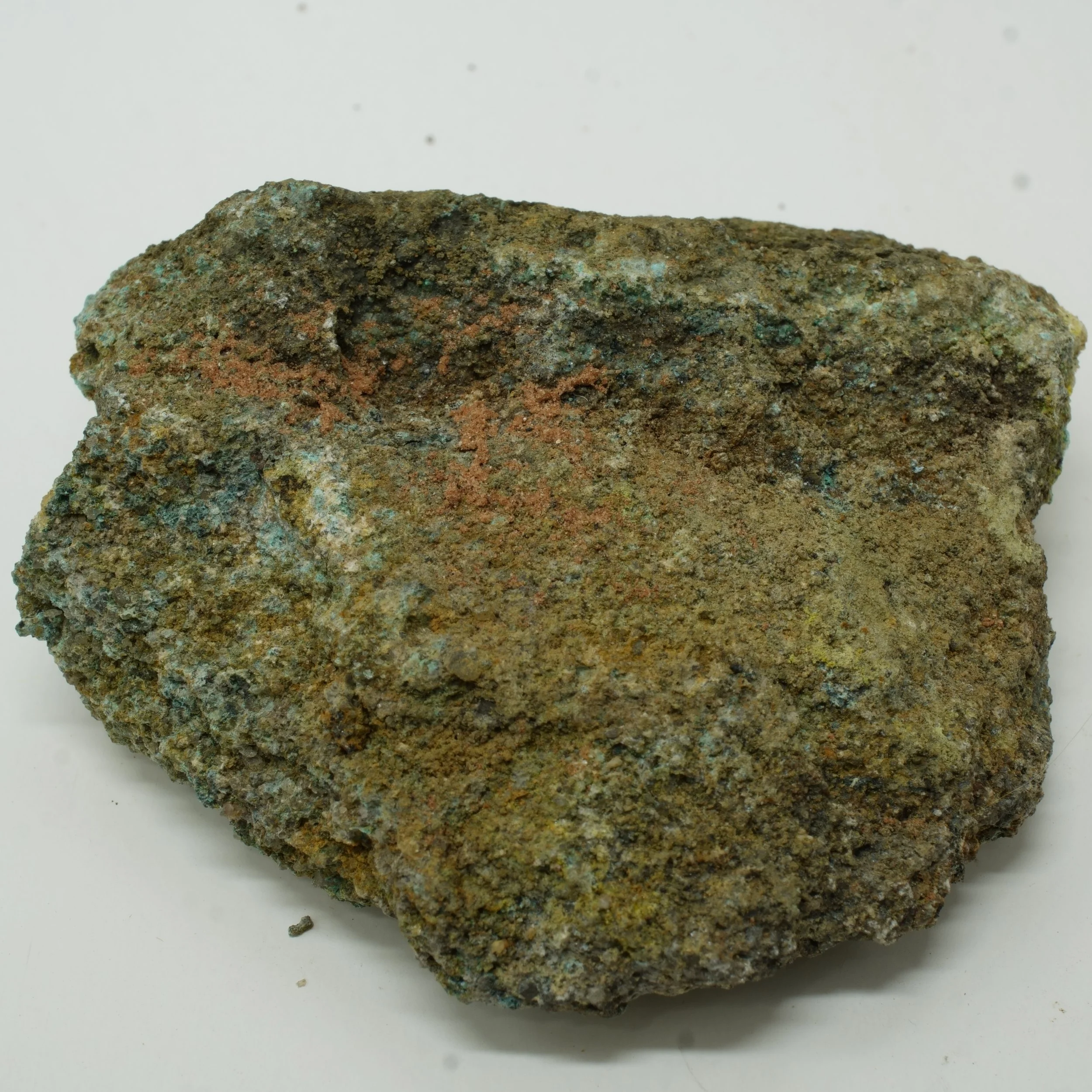 Reverse side of Hideout Mine uranium ore specimen showing sandstone host rock with distributed uranium mineralization