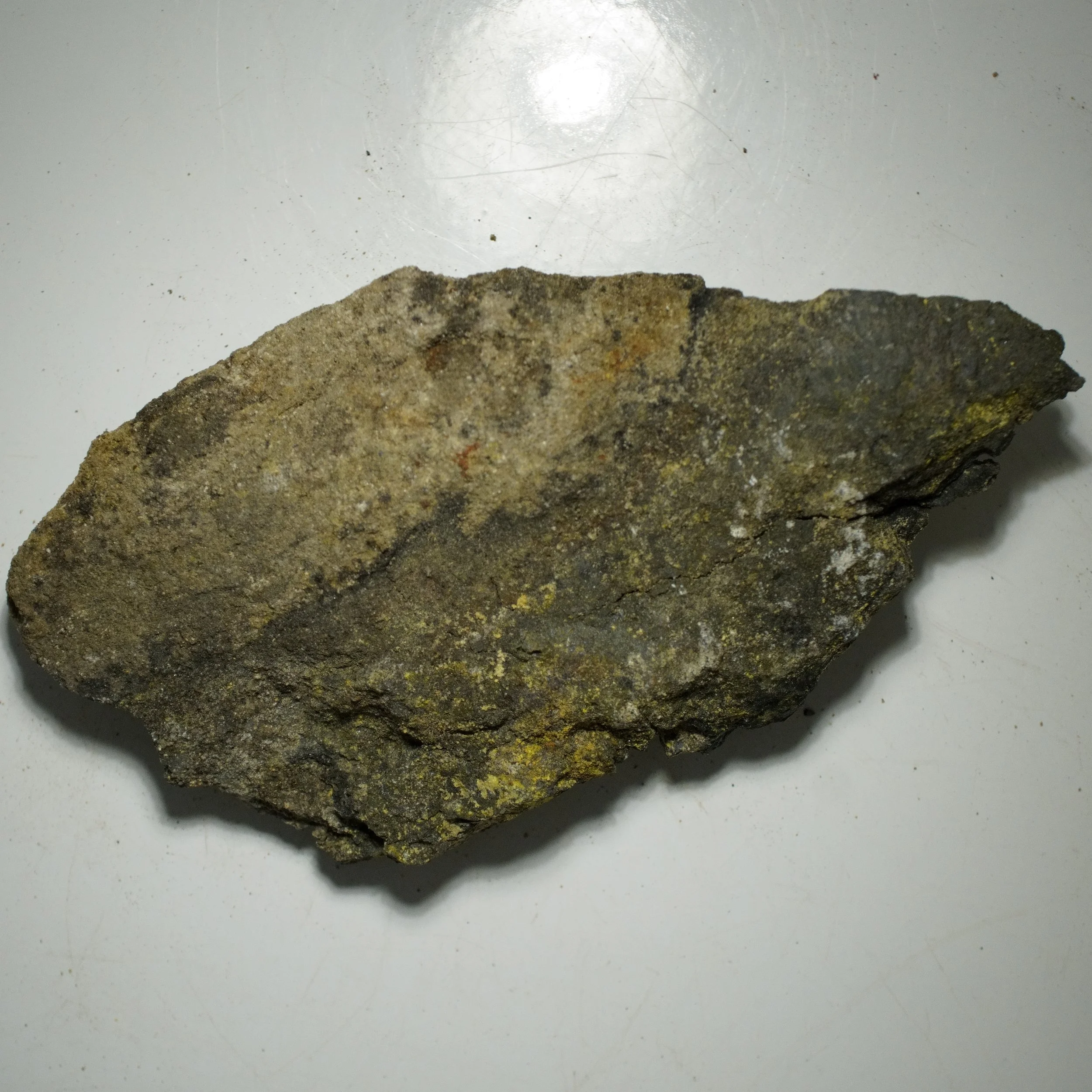 Gateway Colorado uranium-vanadium sandstone specimen with yellow carnotite or tyuyamunite mineralization on dark ore matrix.