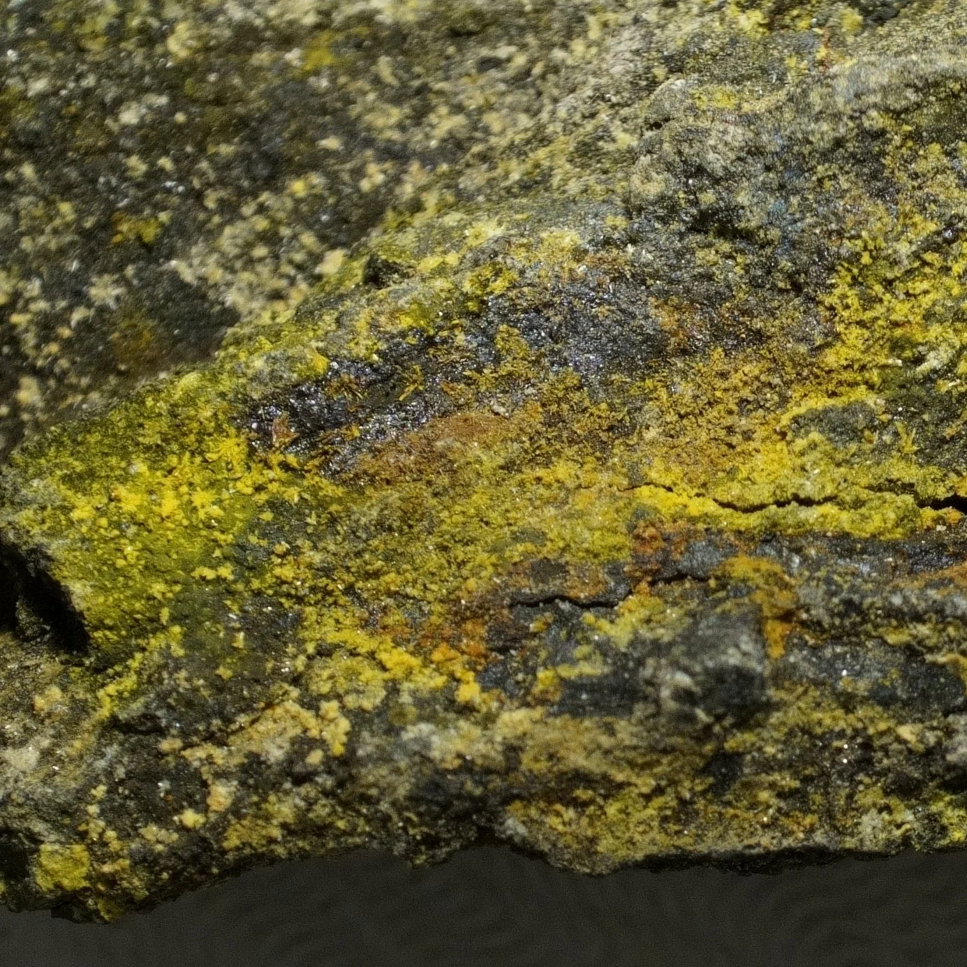 Small Gateway Colorado uranium-vanadium ore specimen with yellow tyuyamunite carnotite crystals and 50,000 CPM activity.