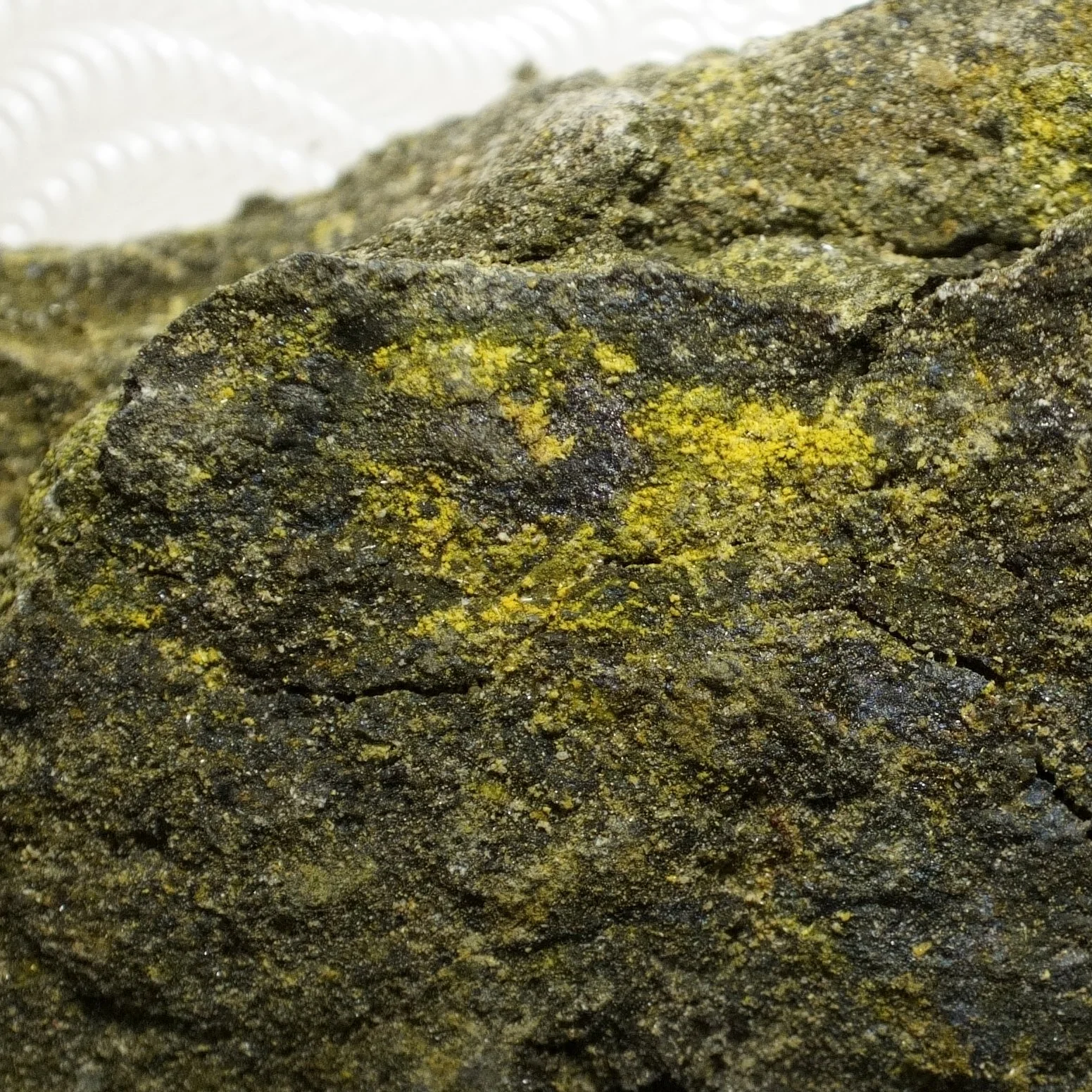 Small Gateway Colorado uranium-vanadium ore specimen with yellow tyuyamunite carnotite crystals and 50,000 CPM activity.