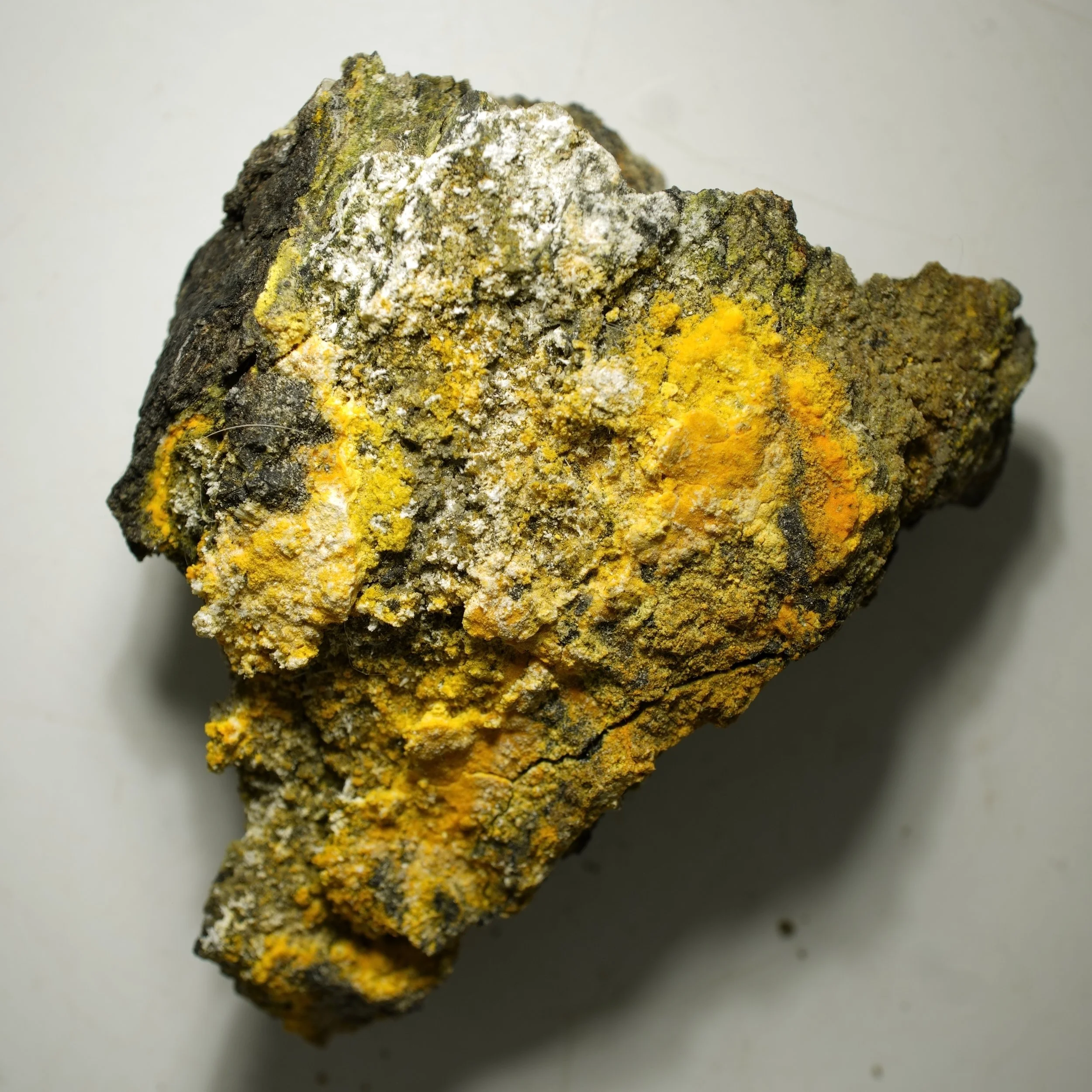 High-grade carnotite uranium specimen with bright yellow mineralization on matrix, strong radioactive output compact sample