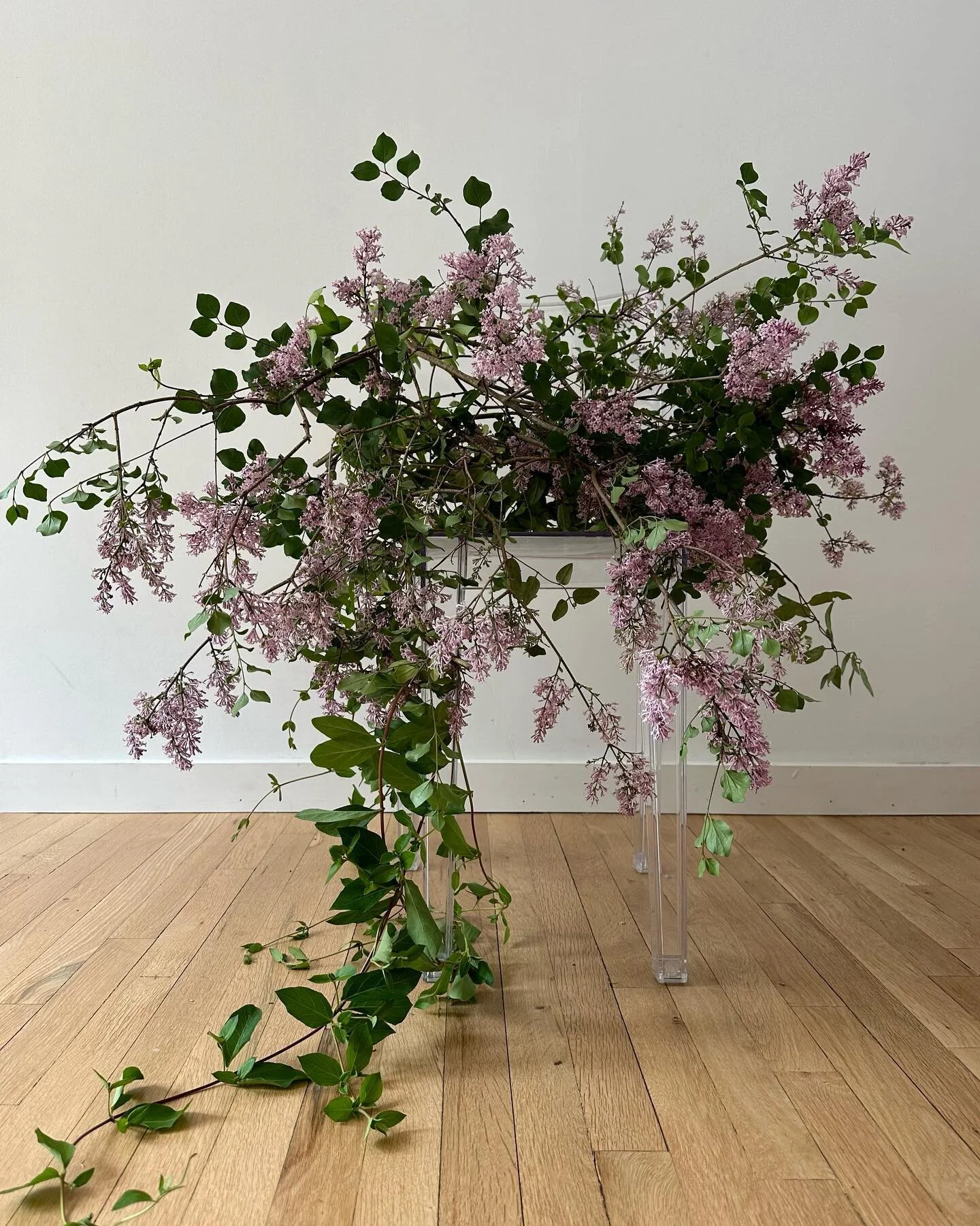 Foraged Feast &bull; Lilacs + Honeysuckle
