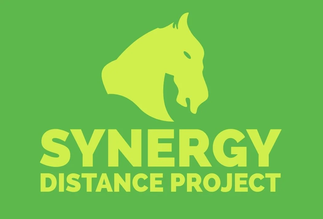 Synergy Distance Project