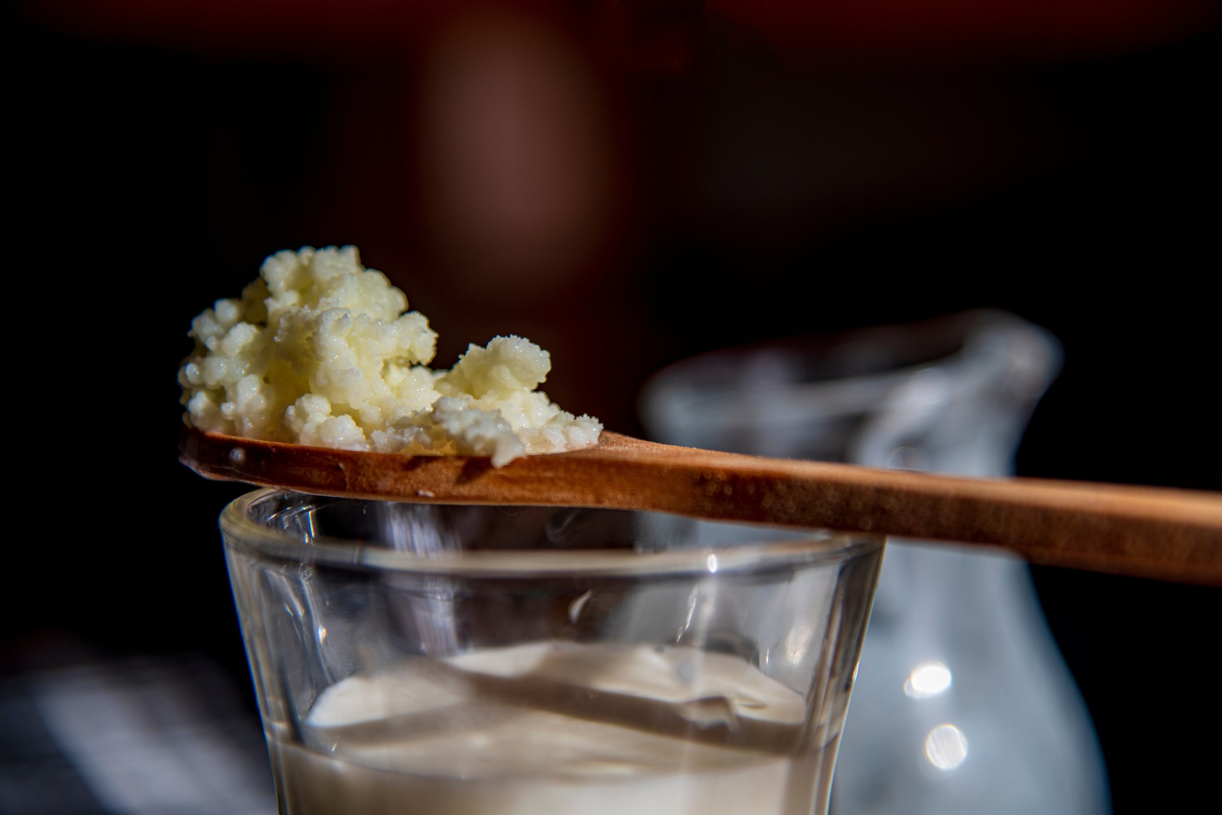 Live Fresh Milk Kefir Grains