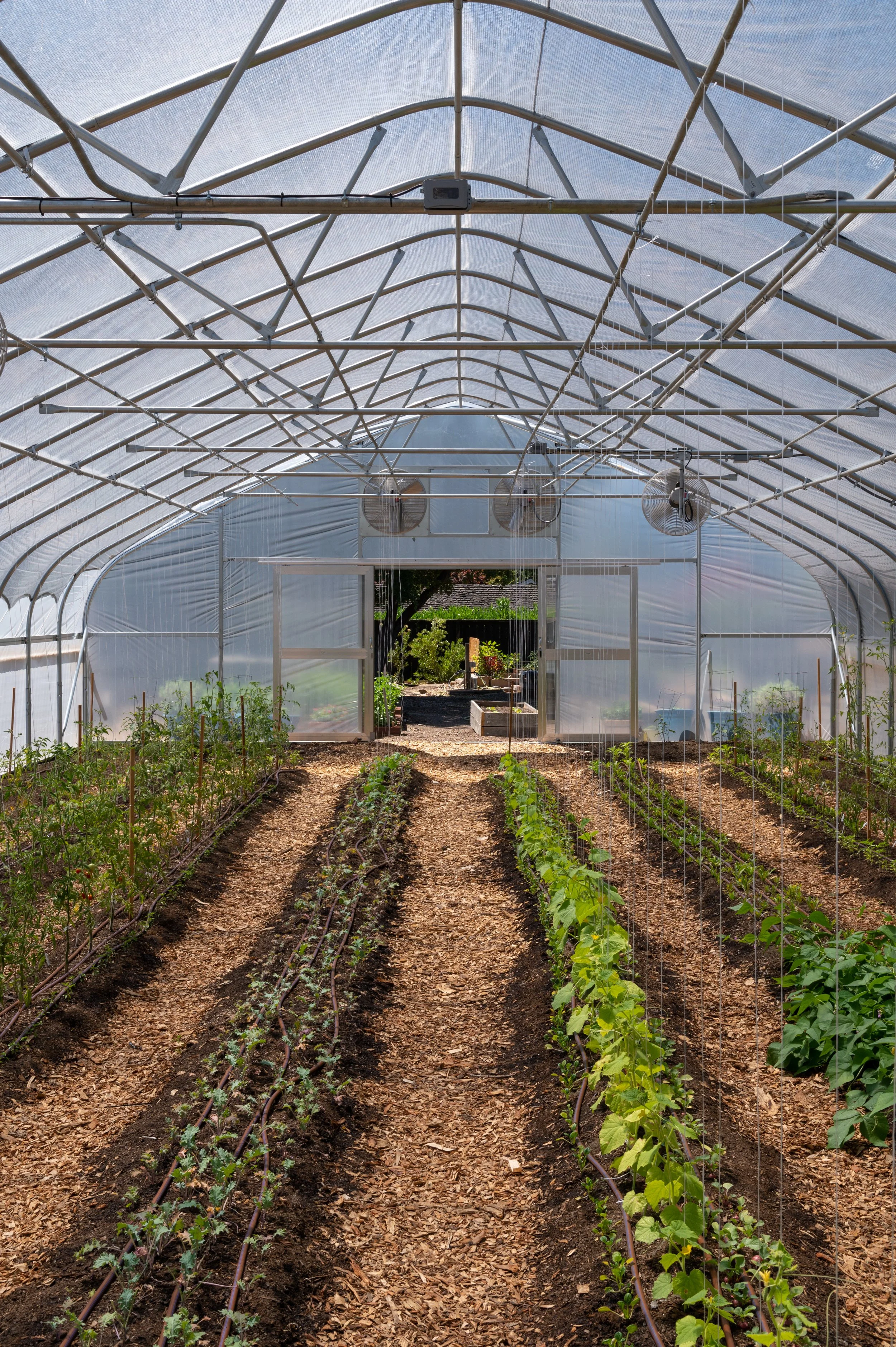 Inside a greenhouse with trays of seedlings, including lettuce and other leafy greens, labeled with plant tags.