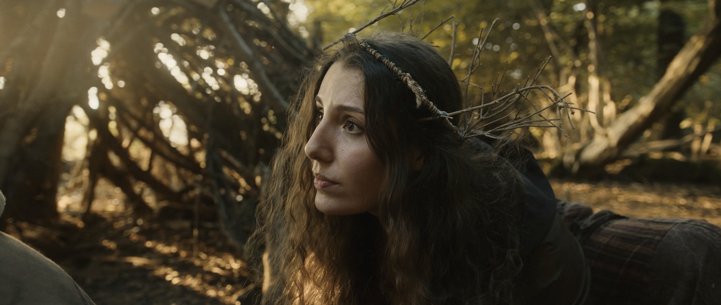 Screenshot 2025-09-17 at 11.51.57.png