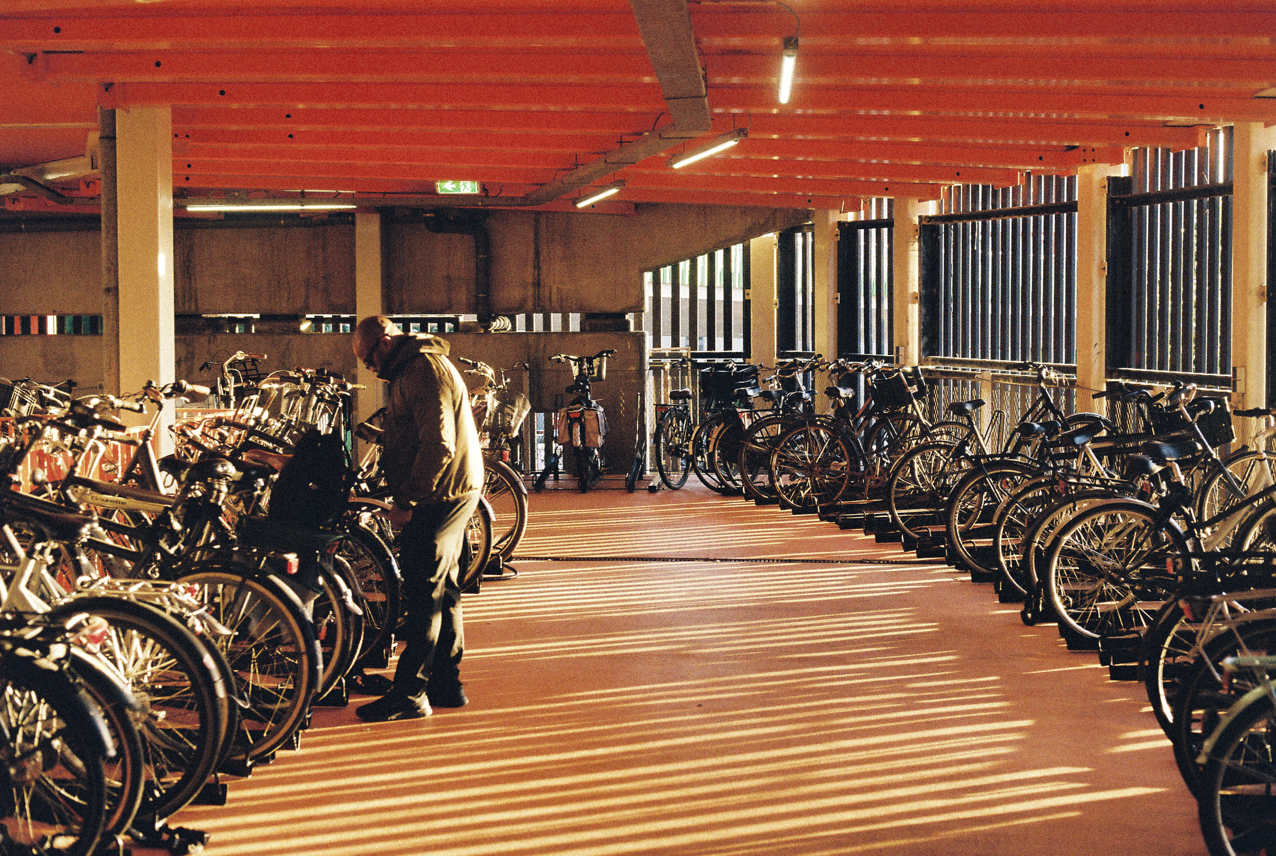 Saw the lovely light and knew I need to make the most of this bike shed.