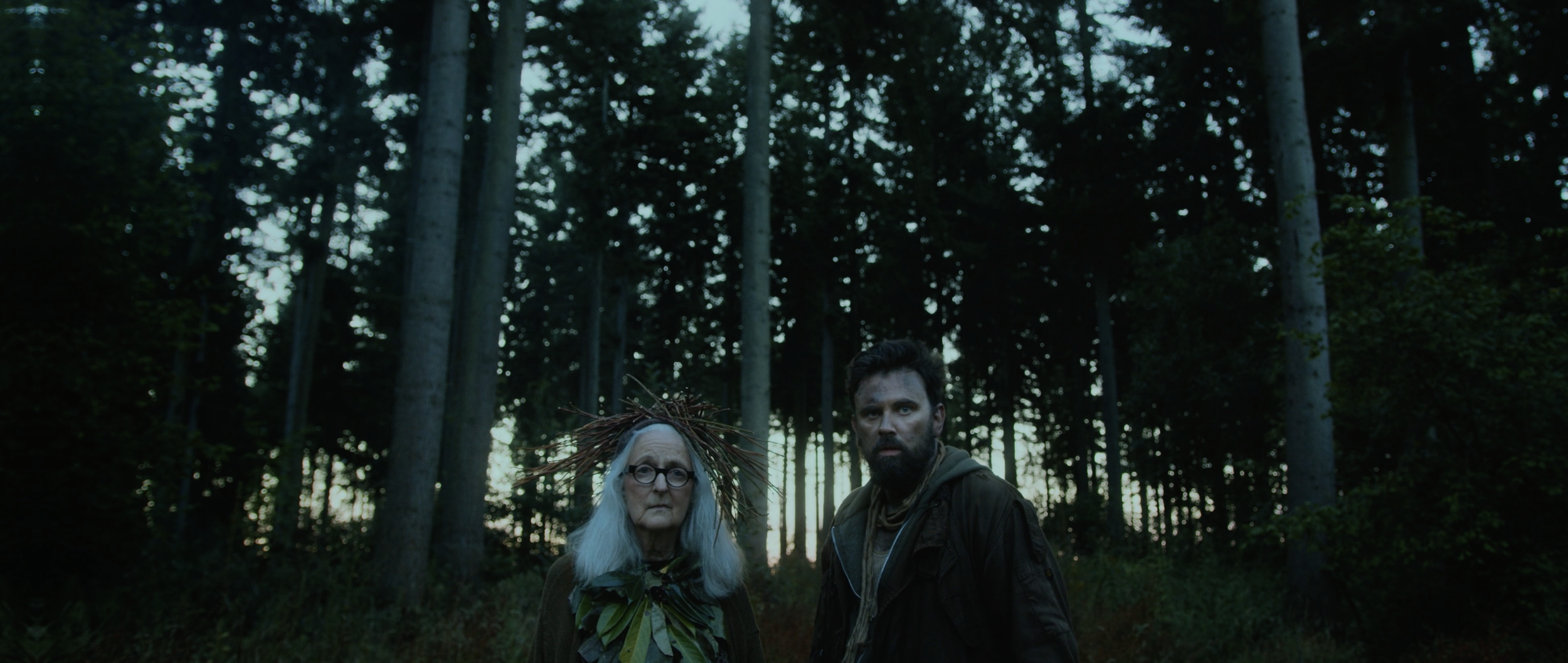 Screenshot 2025-09-17 at 11.55.04.png