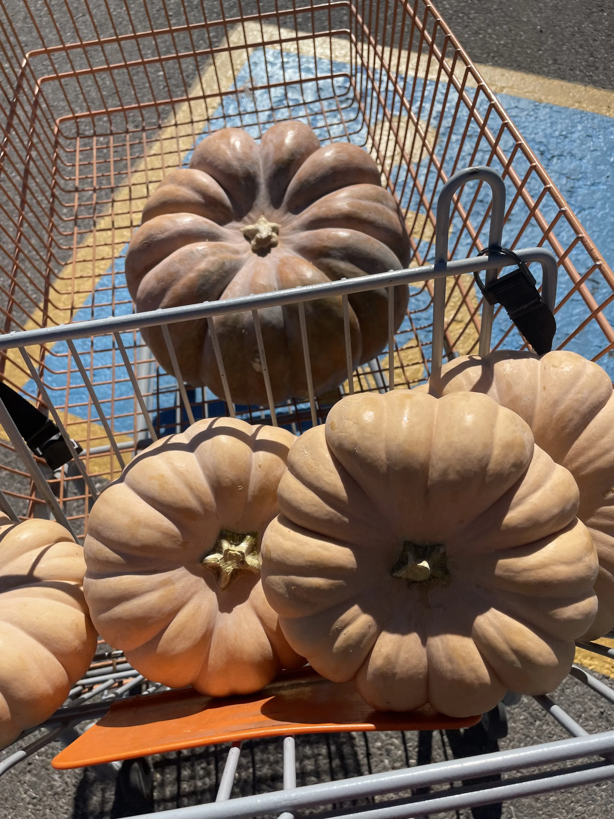 GO TO Budget-Friendly Fall Decor: My Top Designer Picks That Won’t Break the Bank