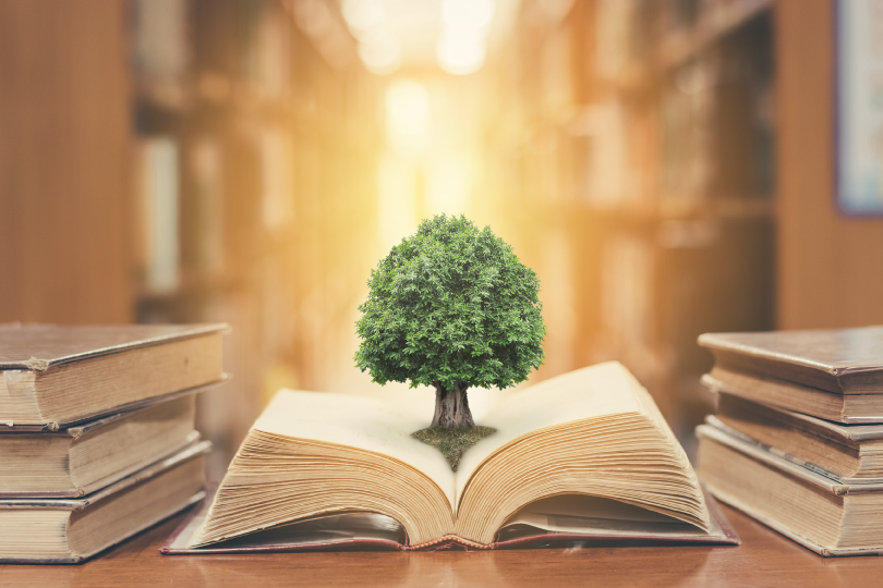 An altered image representing a "tree of knowledge" growing from an open book.