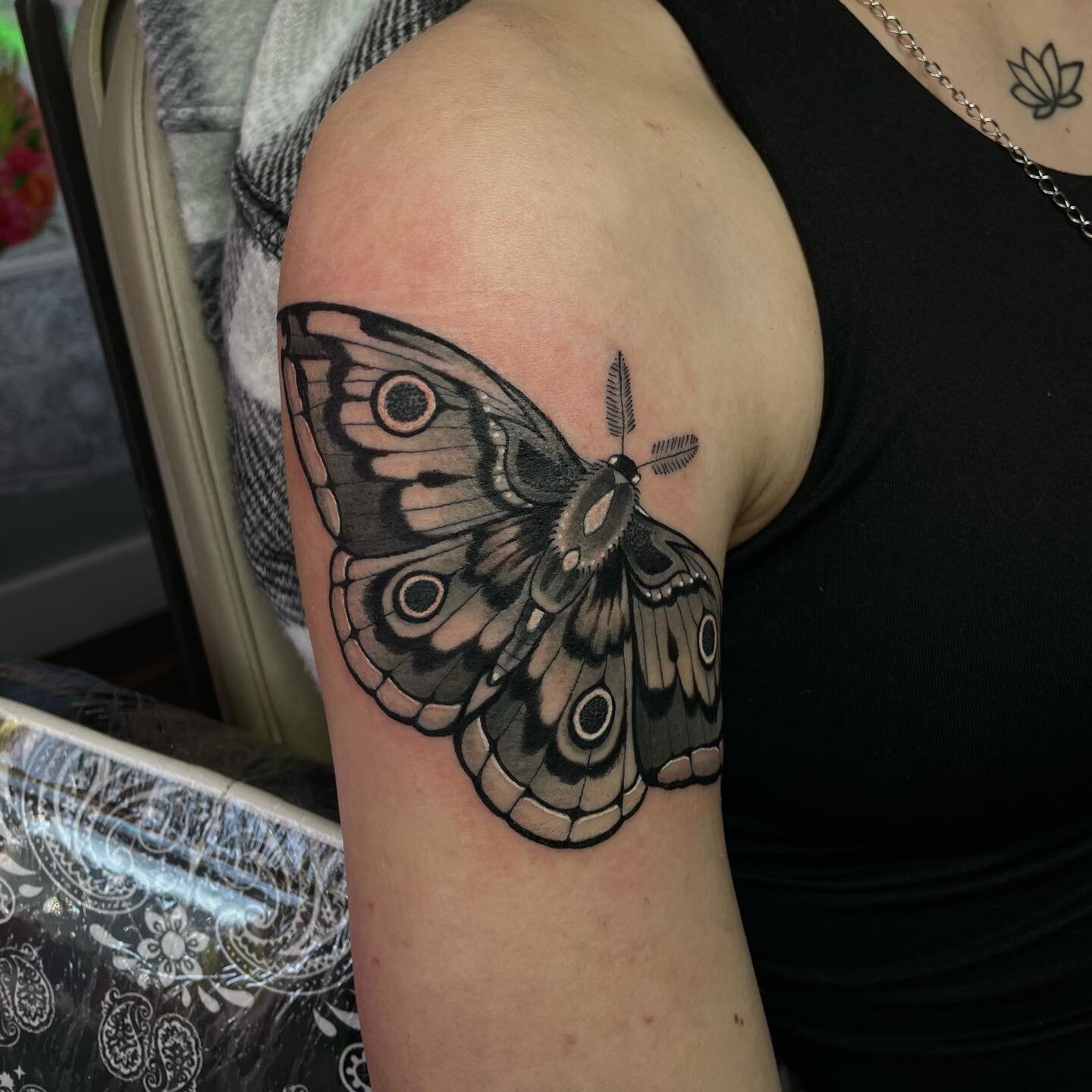 Moth today 🥰 
.
.
.
#tattoo #tattoos #ink #moth #mothtattoo #neotrad #neotraditional #neotradmoth