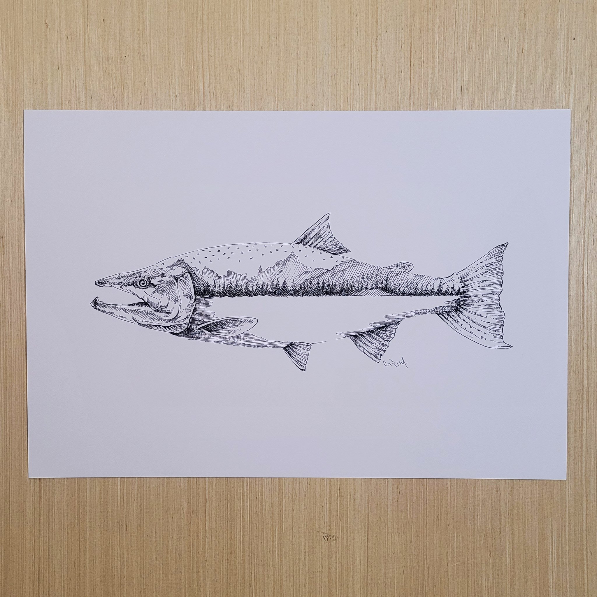 Steelhead - Print
