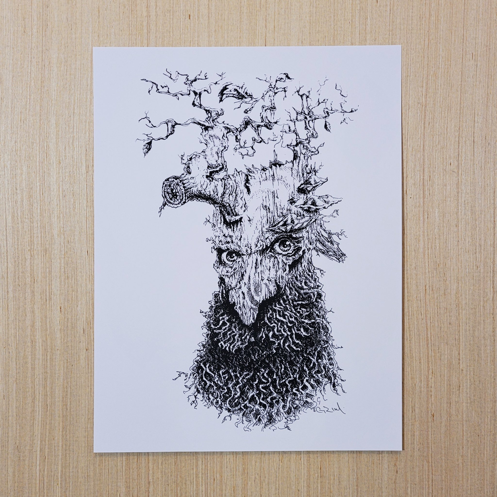Treebeard - Print
