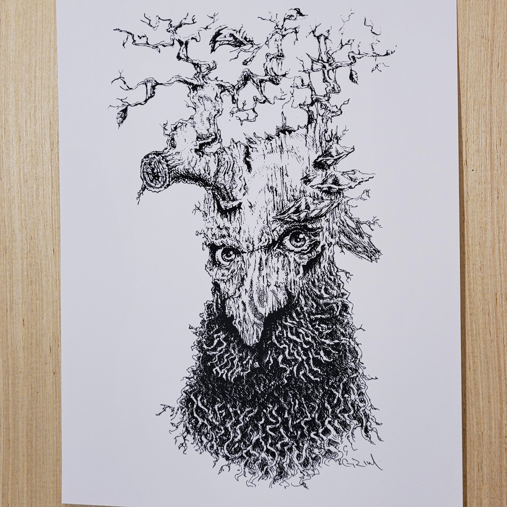 Treebeard print 2.jpg