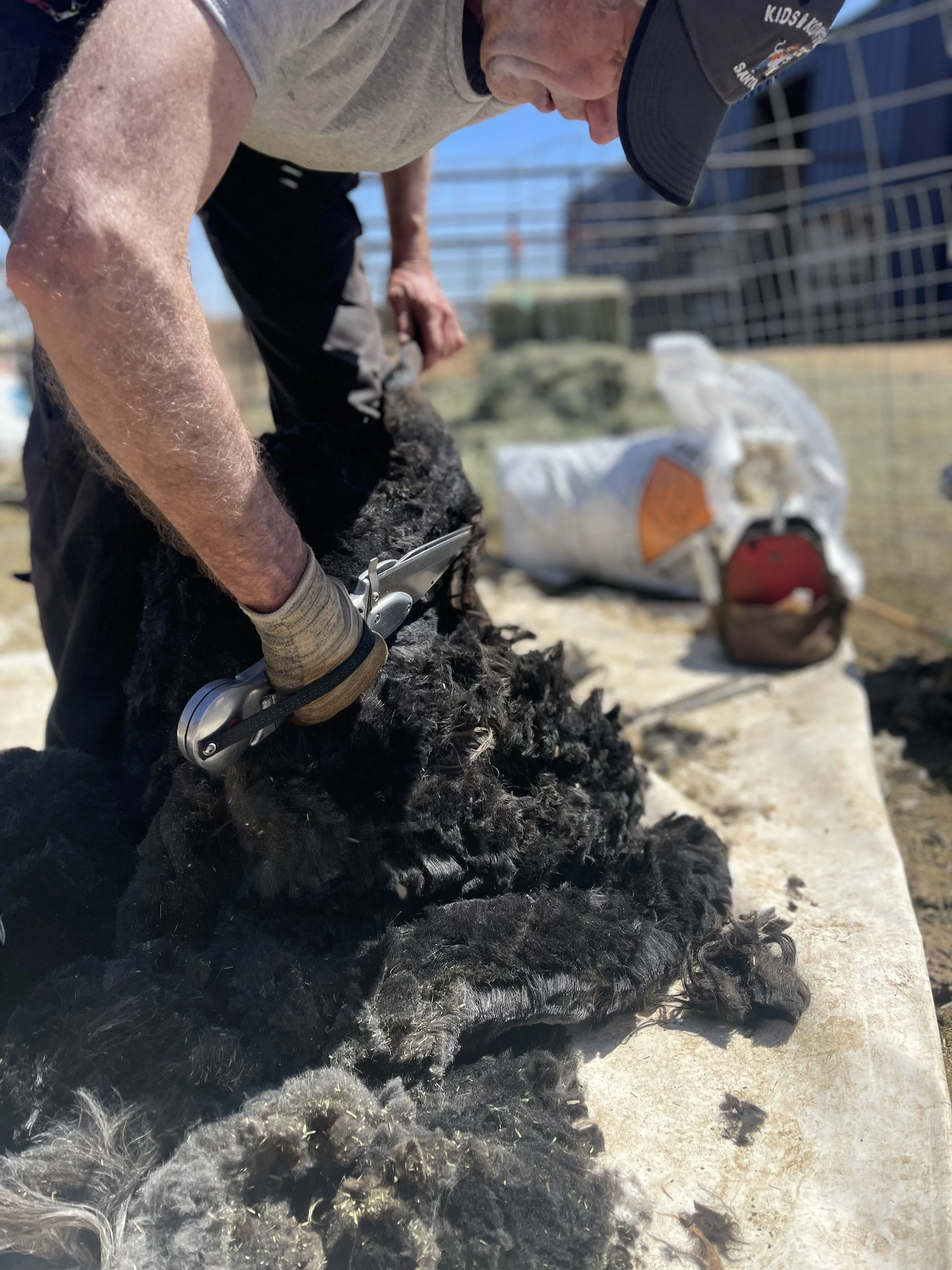 Upcycling: How our Shepherds are Pushing the Boundaries of Sustainable Design