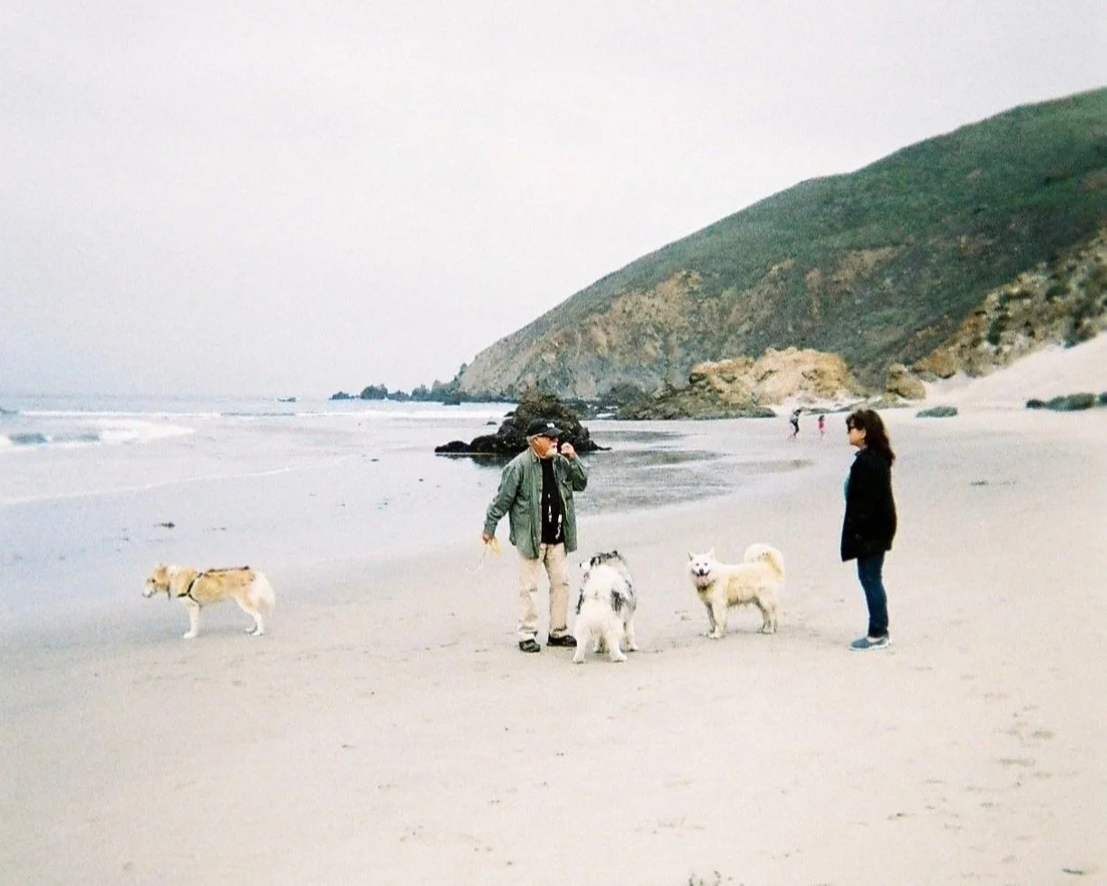 bigsur1.jpg