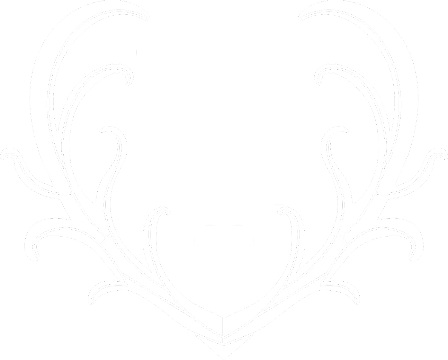 Strange Heart