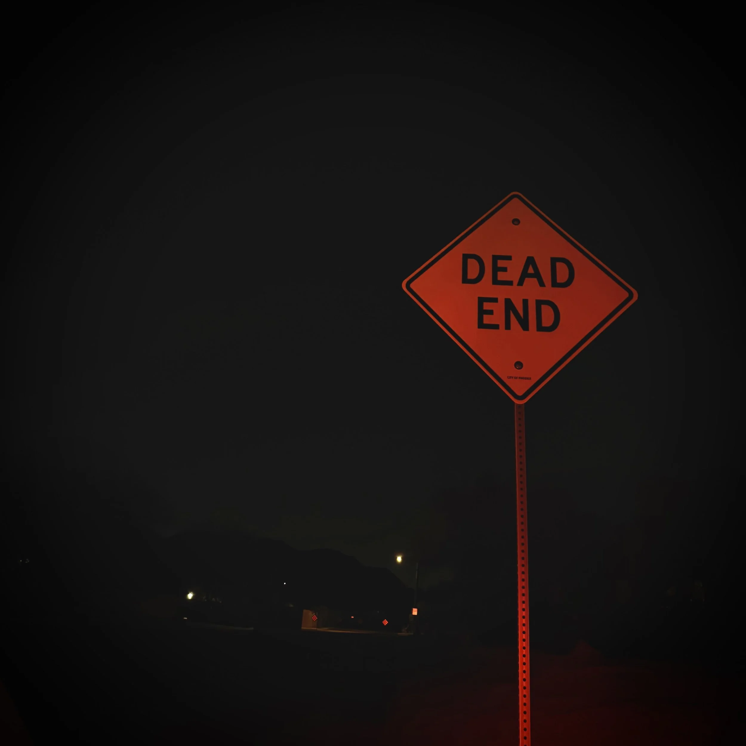 Dead Ends · Victoria Bigelow