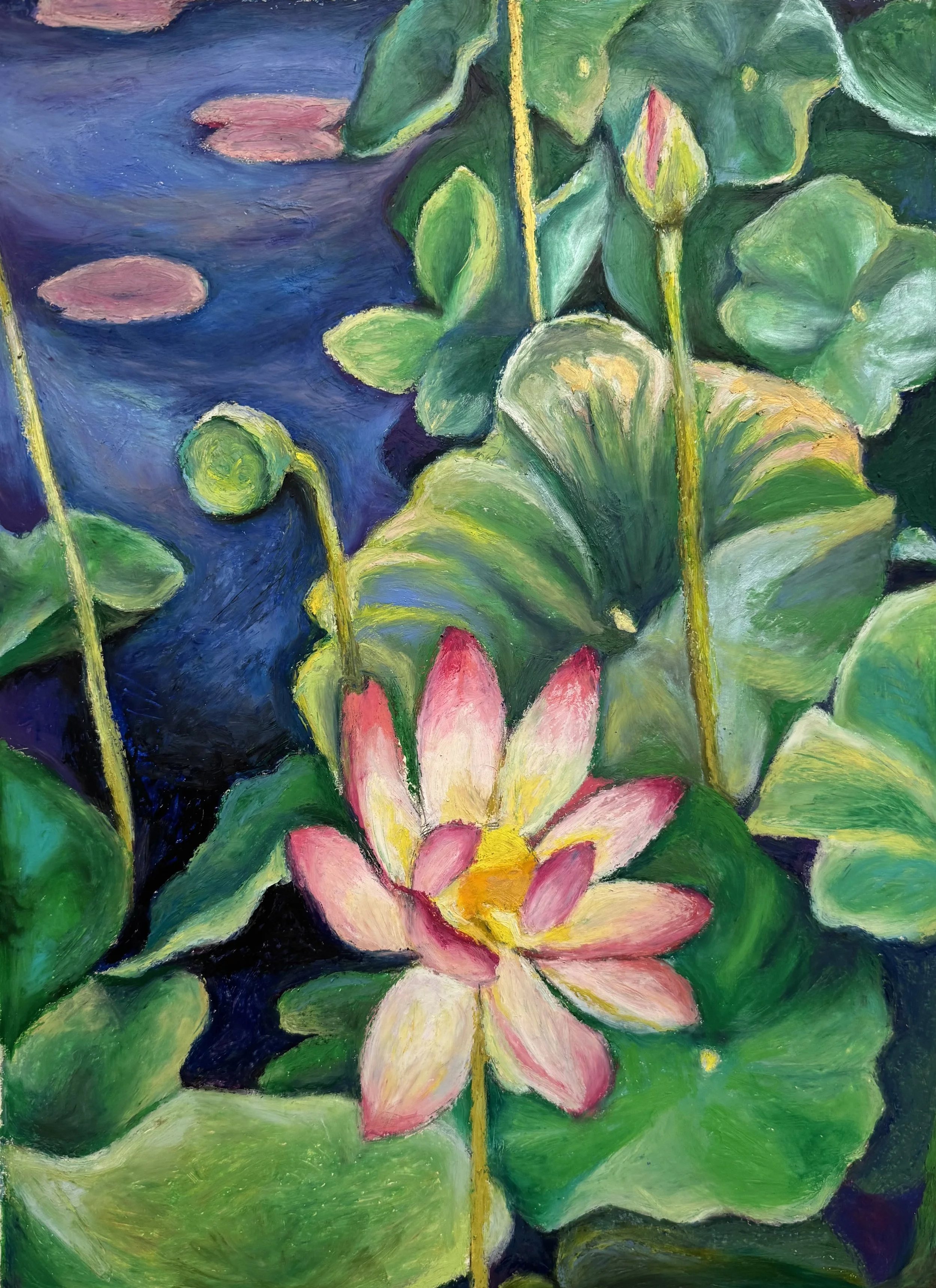 Lotus, oil pastel, 20"x15"