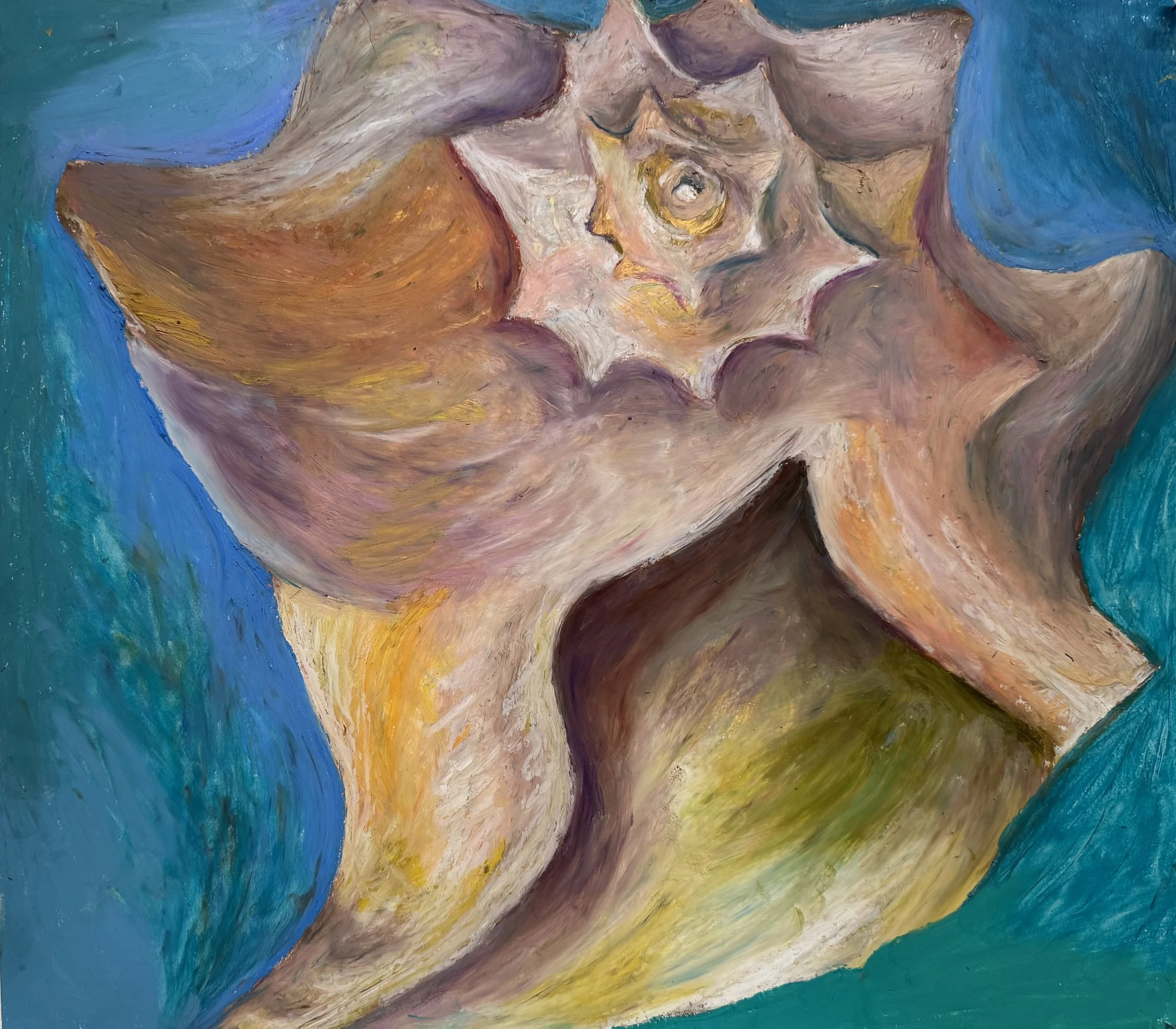 Seashell, oil pastel, 14"x16"