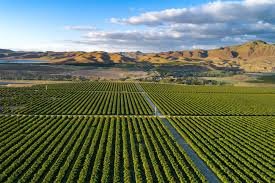 Impact of Tariffs on San Joaquin Valley Farmers