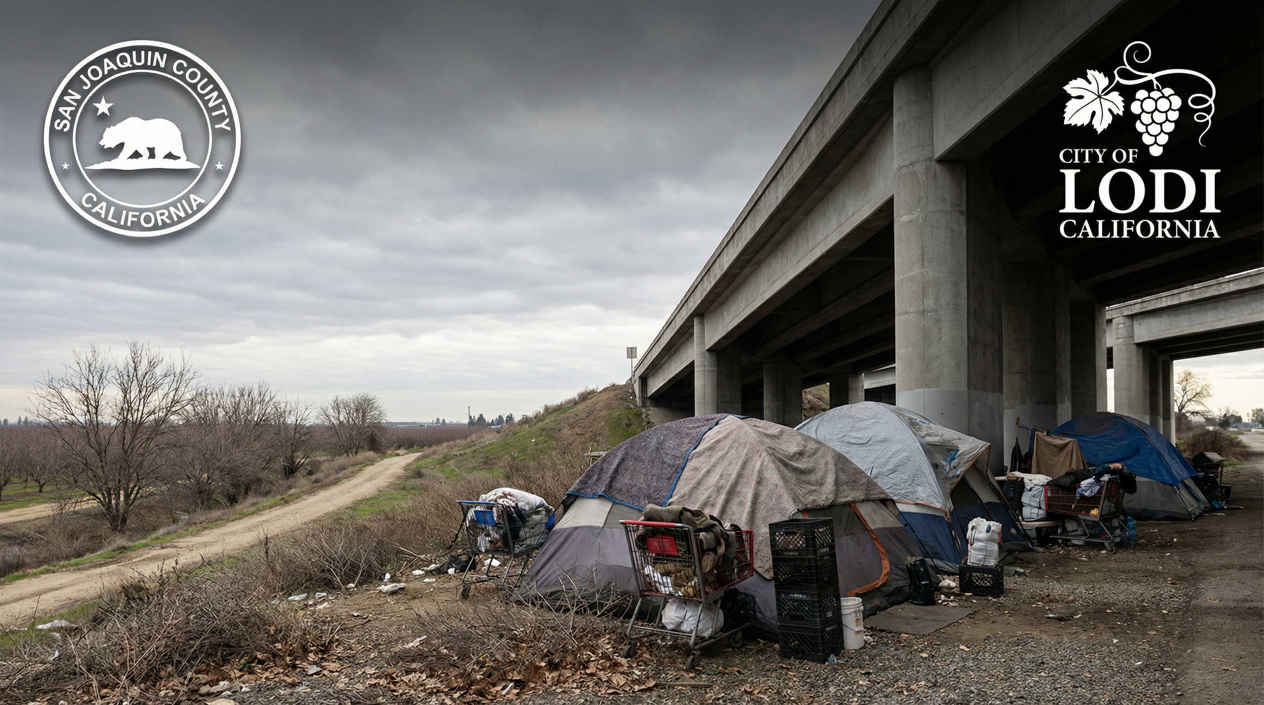 Emerging Trends in San Joaquin County and Lodi - January 2026