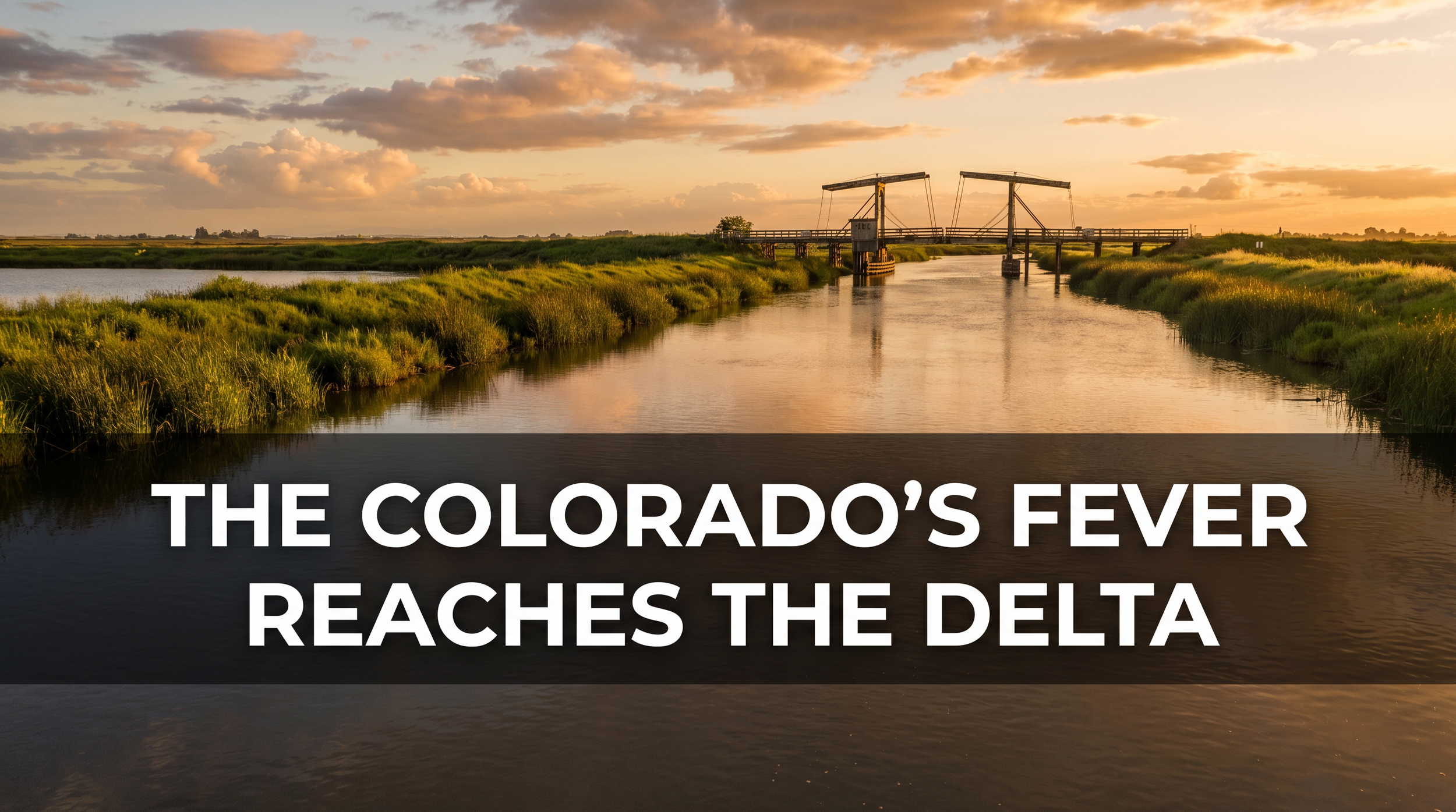 The Colorado's Fever Reaches the Delta