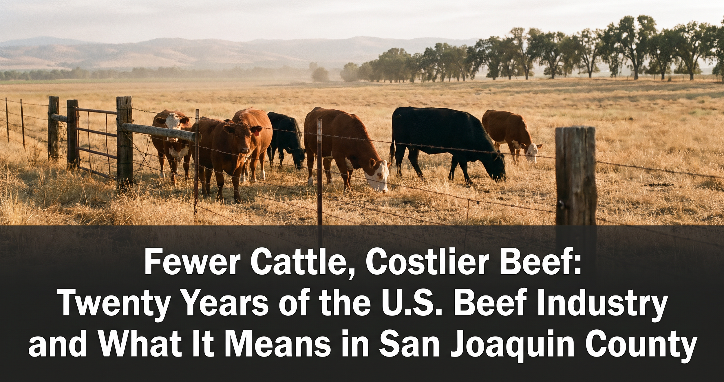 Fewer Cattle, Costlier Beef: Twenty Years of the U.S. Beef Industry and What It Means in San Joaquin County
