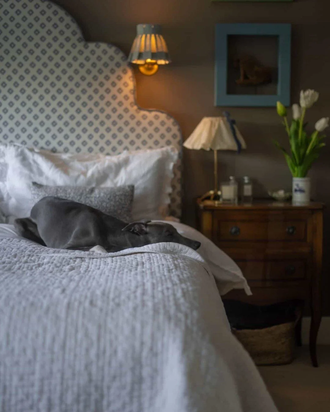 Our Marshmallow shape brings a sense of calm with its soft curves and subtle pattern, the perfect backdrop for slow mornings (and afternoon naps 🐾).

Spotted here with the sweetest companion from @ourlittlewhippetlife_ 🤍

#headboard #upholsteredhea