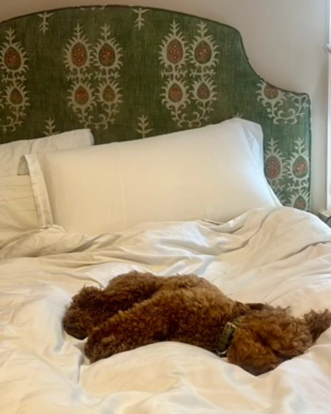 Loved so much even the fury friends never want to leave👀 

We love seeing our designs in your spaces, especially when they include four-legged fans.

This is our gorgeous Loopy headboard, finished with @lewisandwood Tribal Limpopo Green fabric.

#he