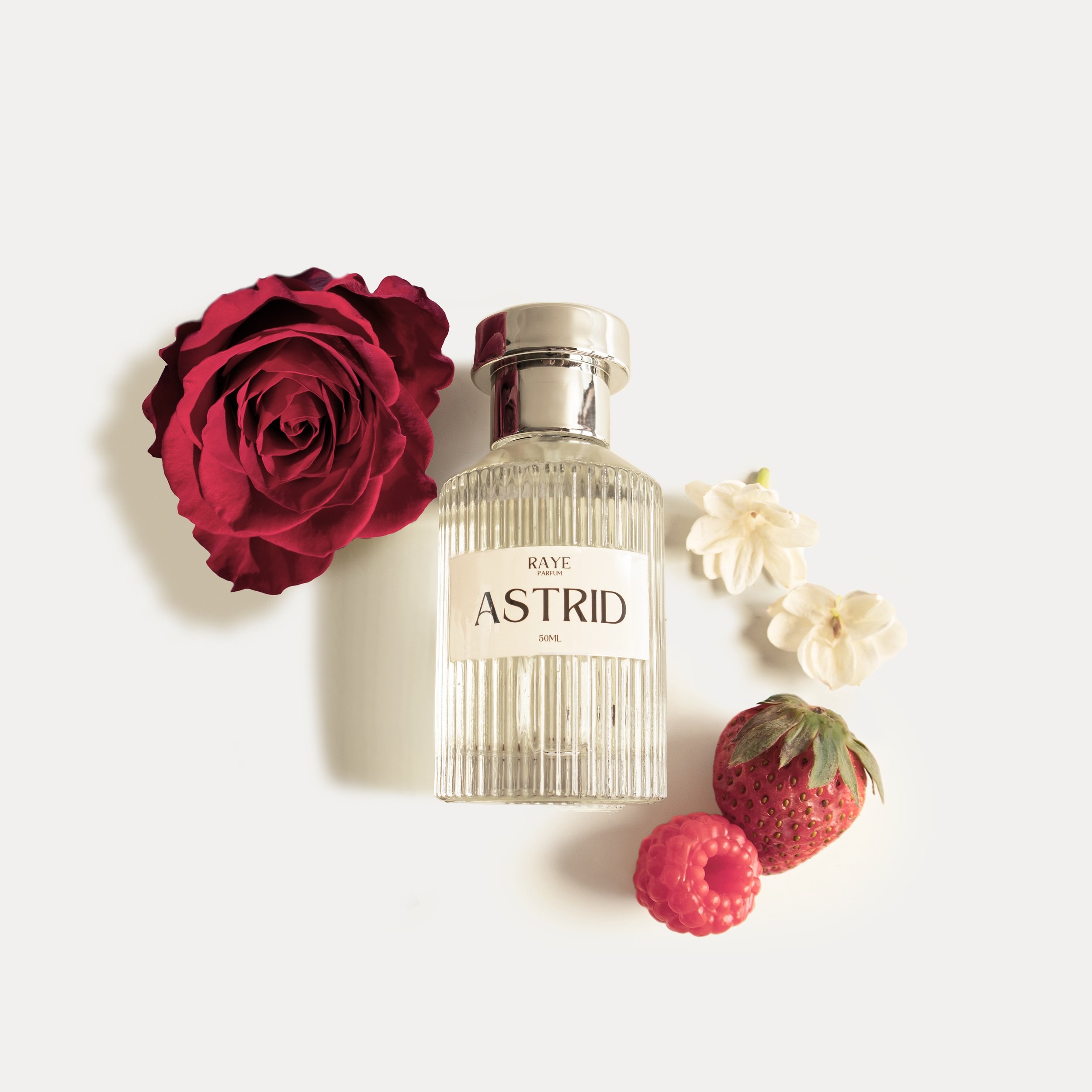 ASTRID+2+%28square%29.jpg