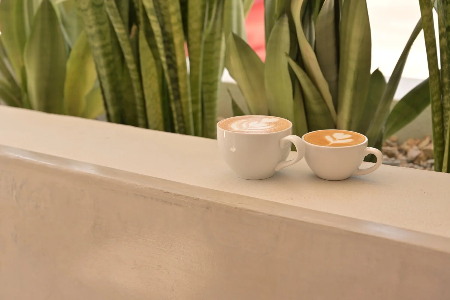 Ojai Tee - Coffee Bean main image 0