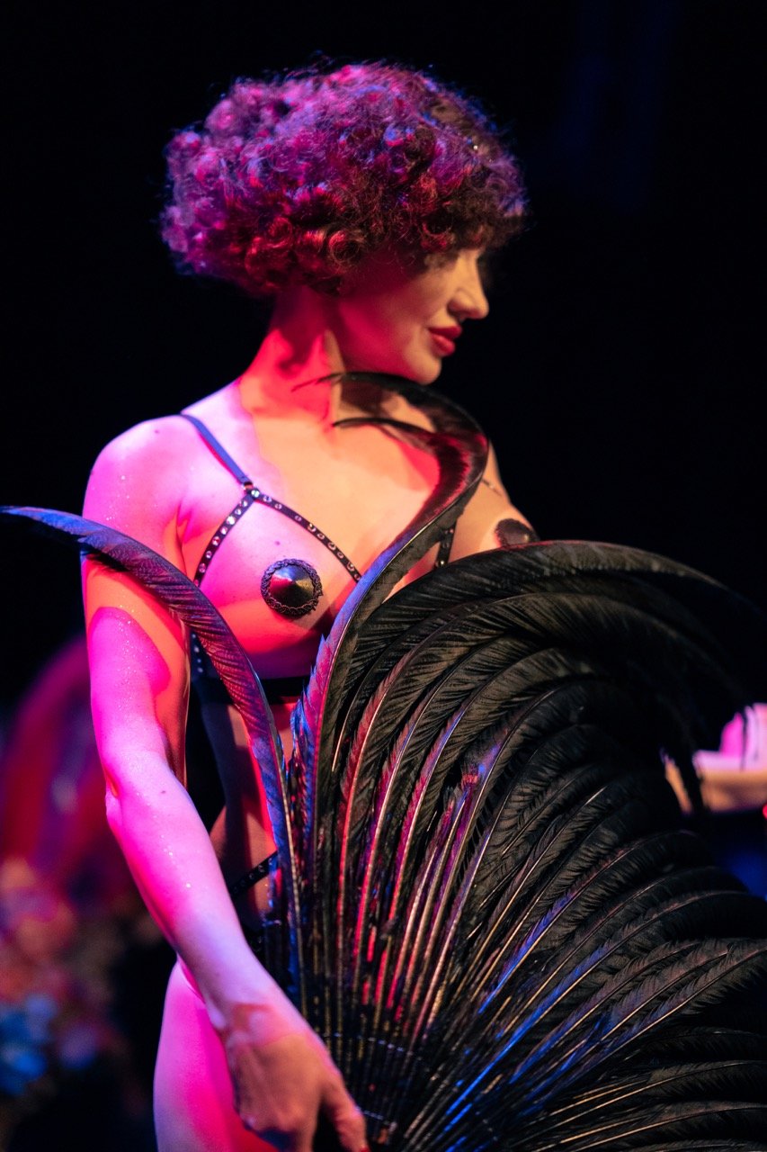 Dauphine DE SHOW-16 groot.jpeg