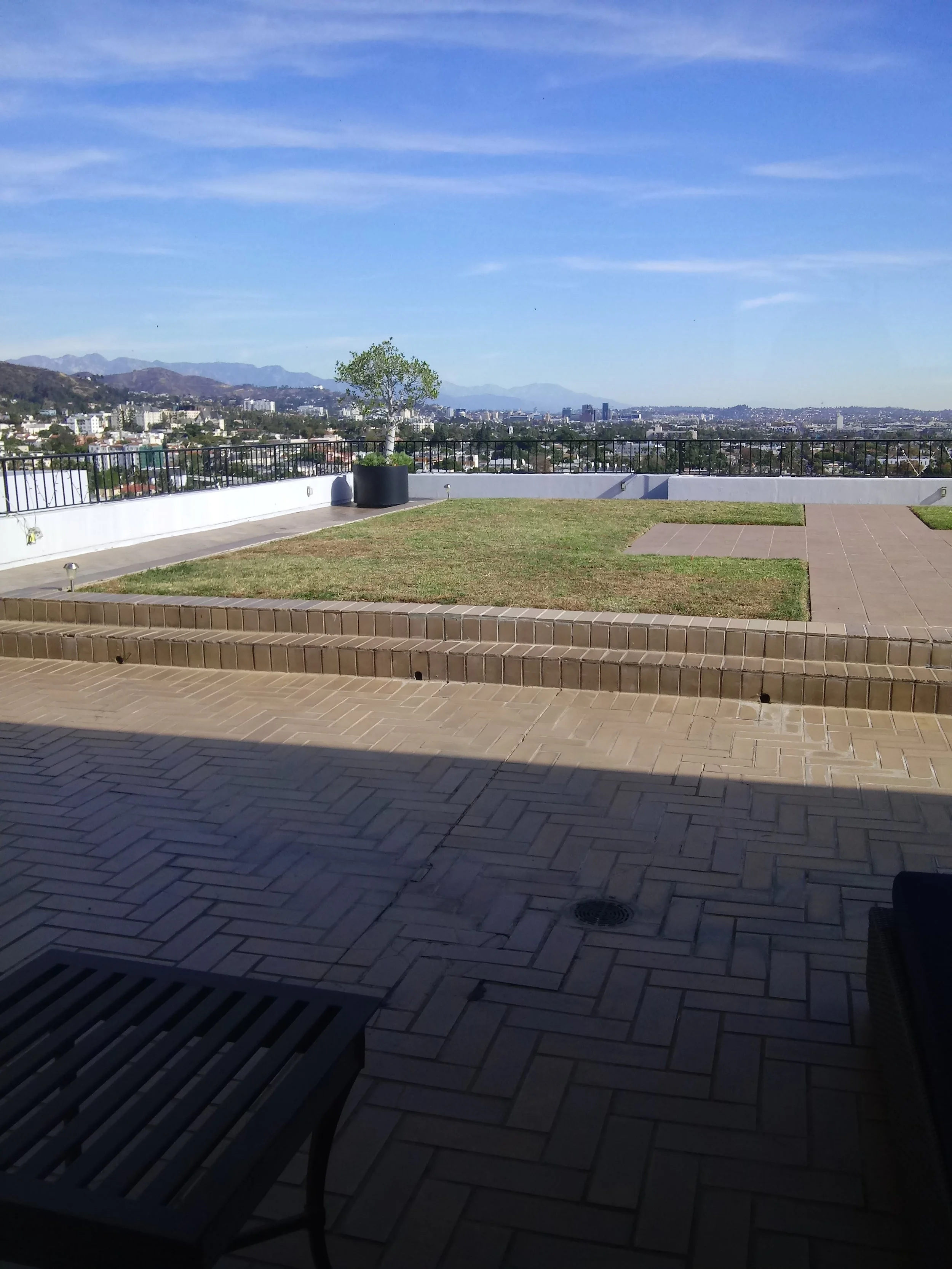 20181126_121956.jpg