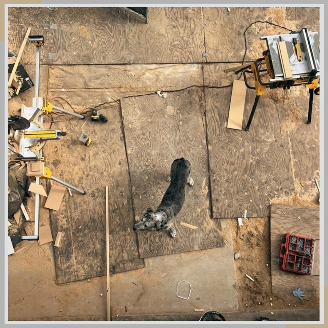 Perspective is everything. Looking down from the roof deck and my massive Great Dane suddenly looks miniature among the tools. I love having this guy on site with me, even if his main contribution right now is just supervising the sawdust collection.