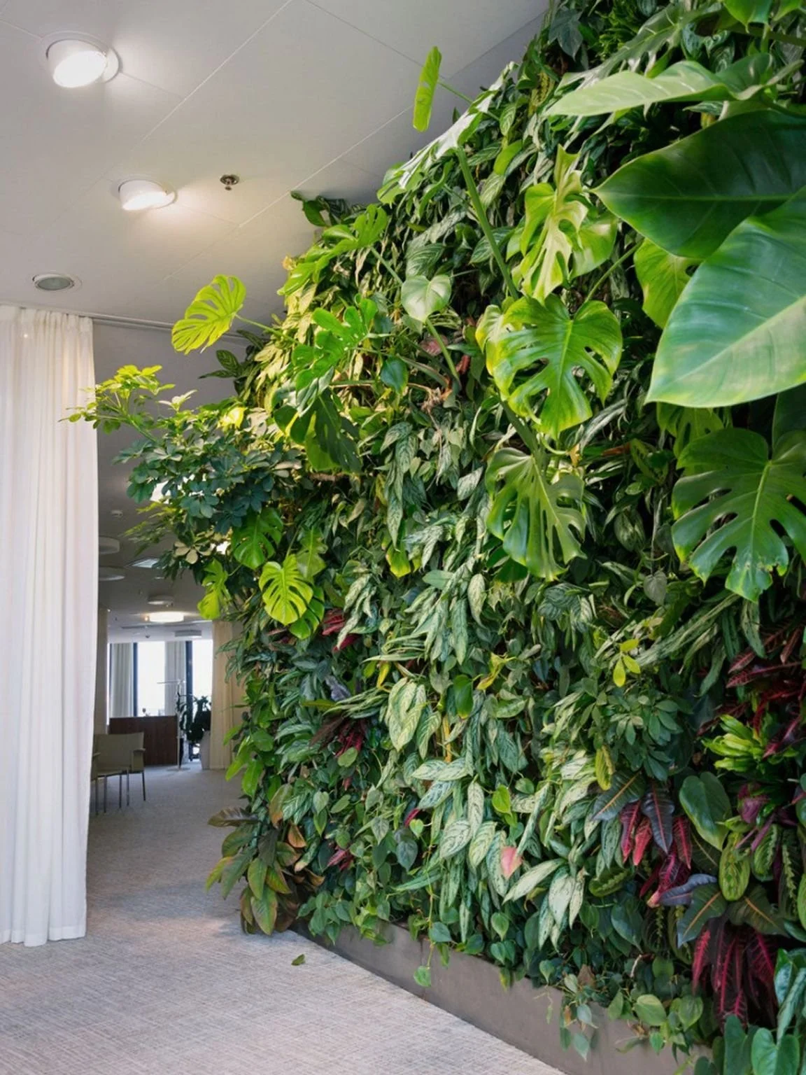 A Lifestyle Shift: Incorporating Plants Into Architectural & Interior ...